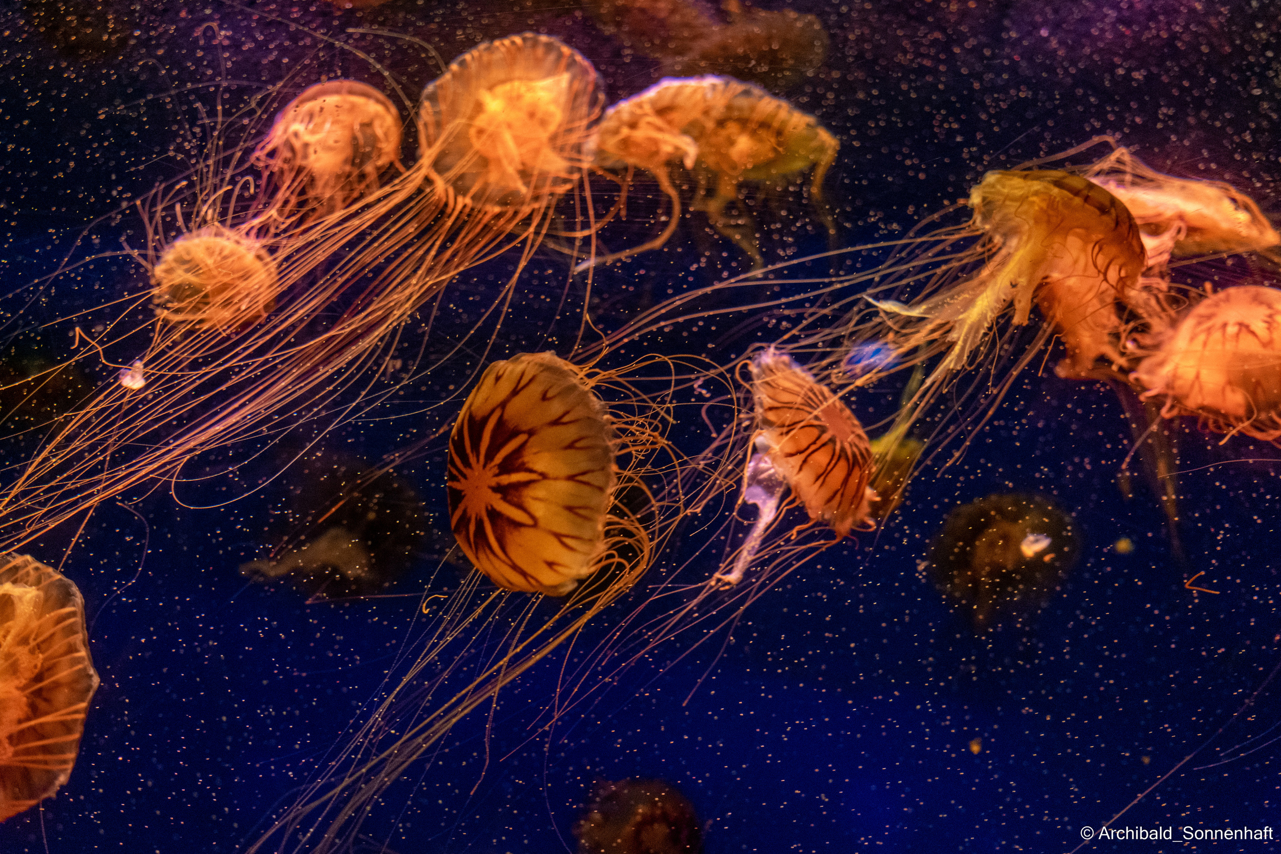 Soft, beautiful, horizontal. Photographer in Guangzhou, China. Archibald Sonnenhaft