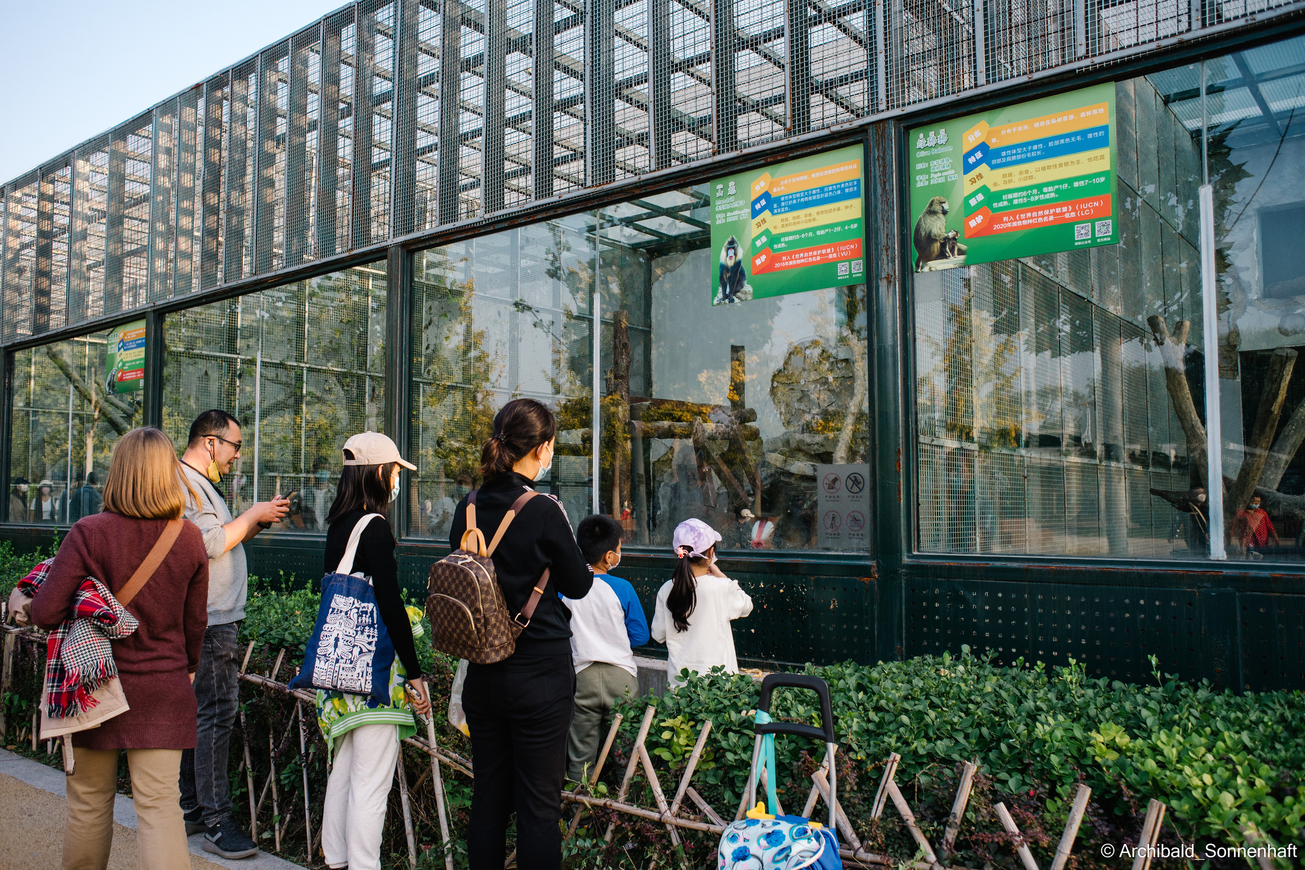 Zoo. Photographer in Guangzhou, China. Archibald Sonnenhaft