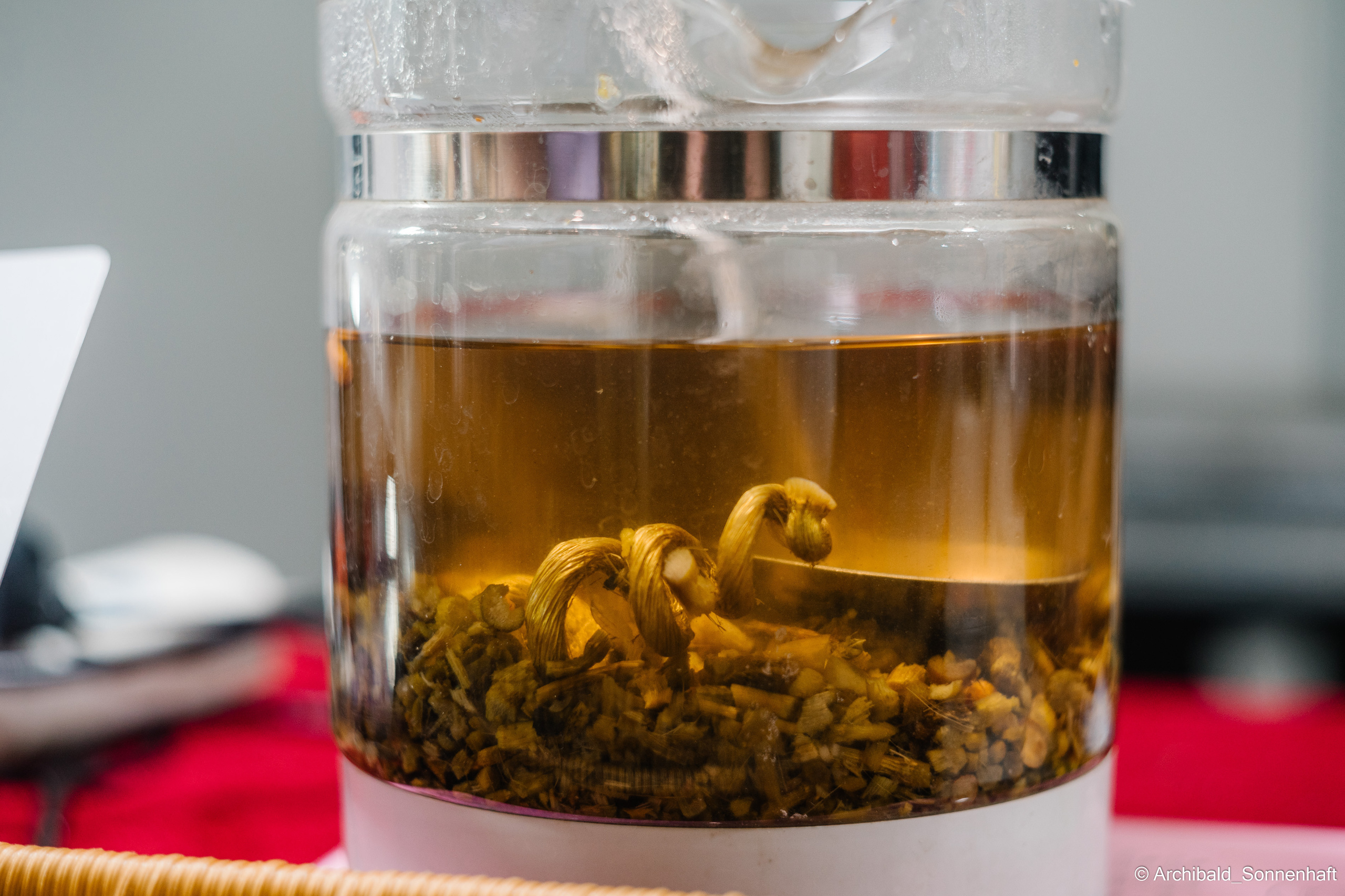 Tea exhibition in Tianjin, China. Photographer in Guangzhou, China. Archibald Sonnenhaft