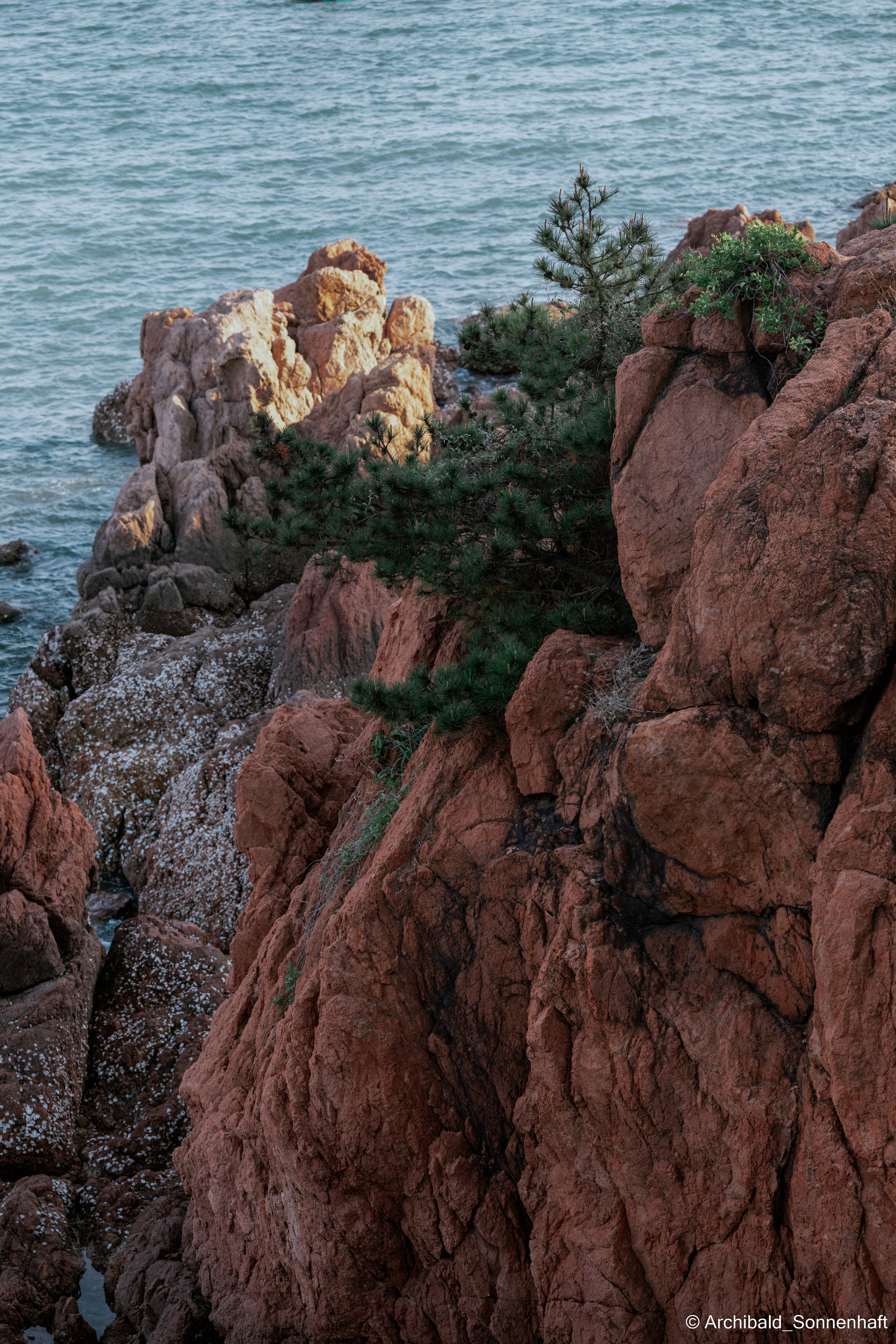 Light, beautiful, vertical. Photographer in Guangzhou, China. Archibald Sonnenhaft
