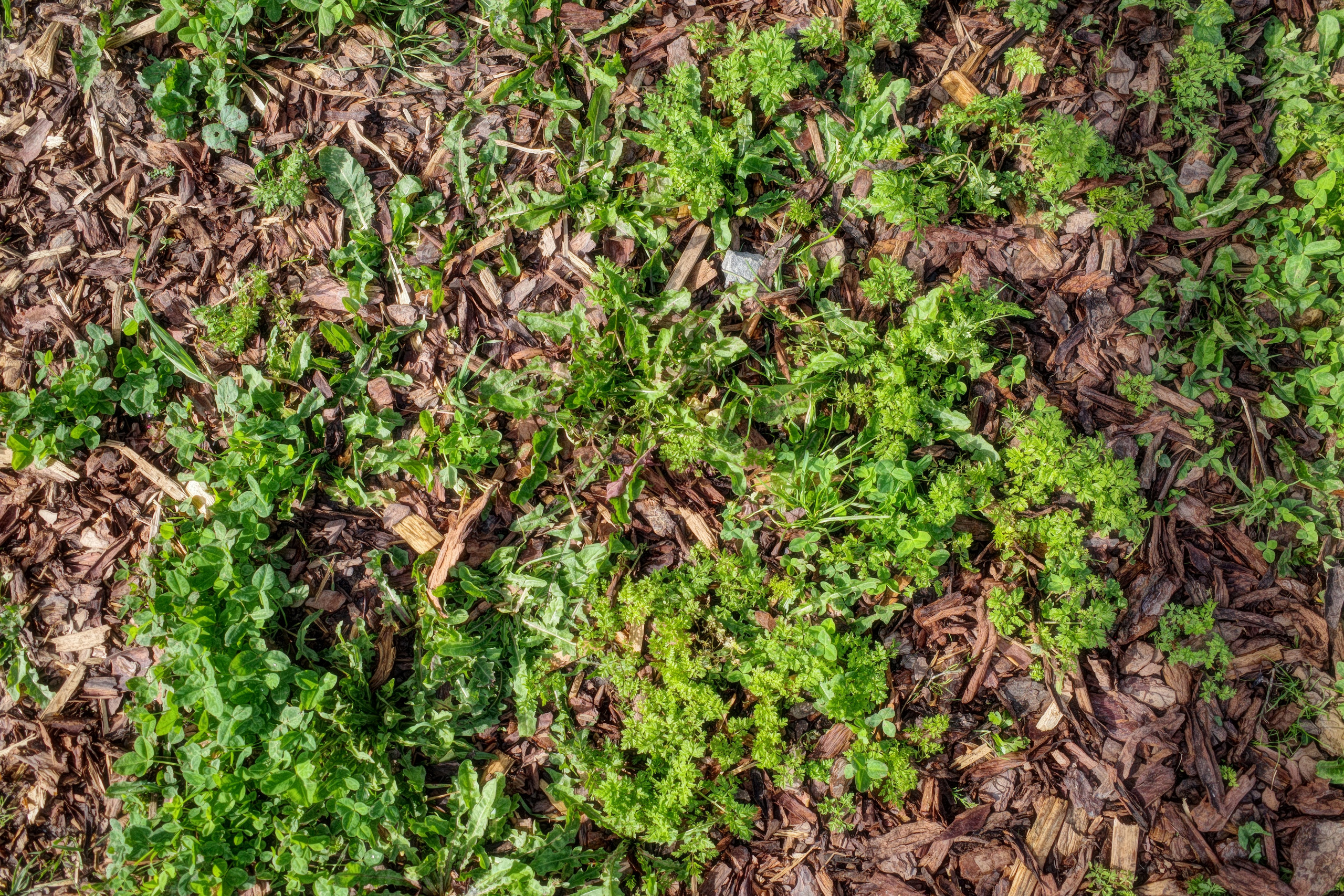 Галерея Ricoh GR3 HDF. Константин Устинов — фотограф