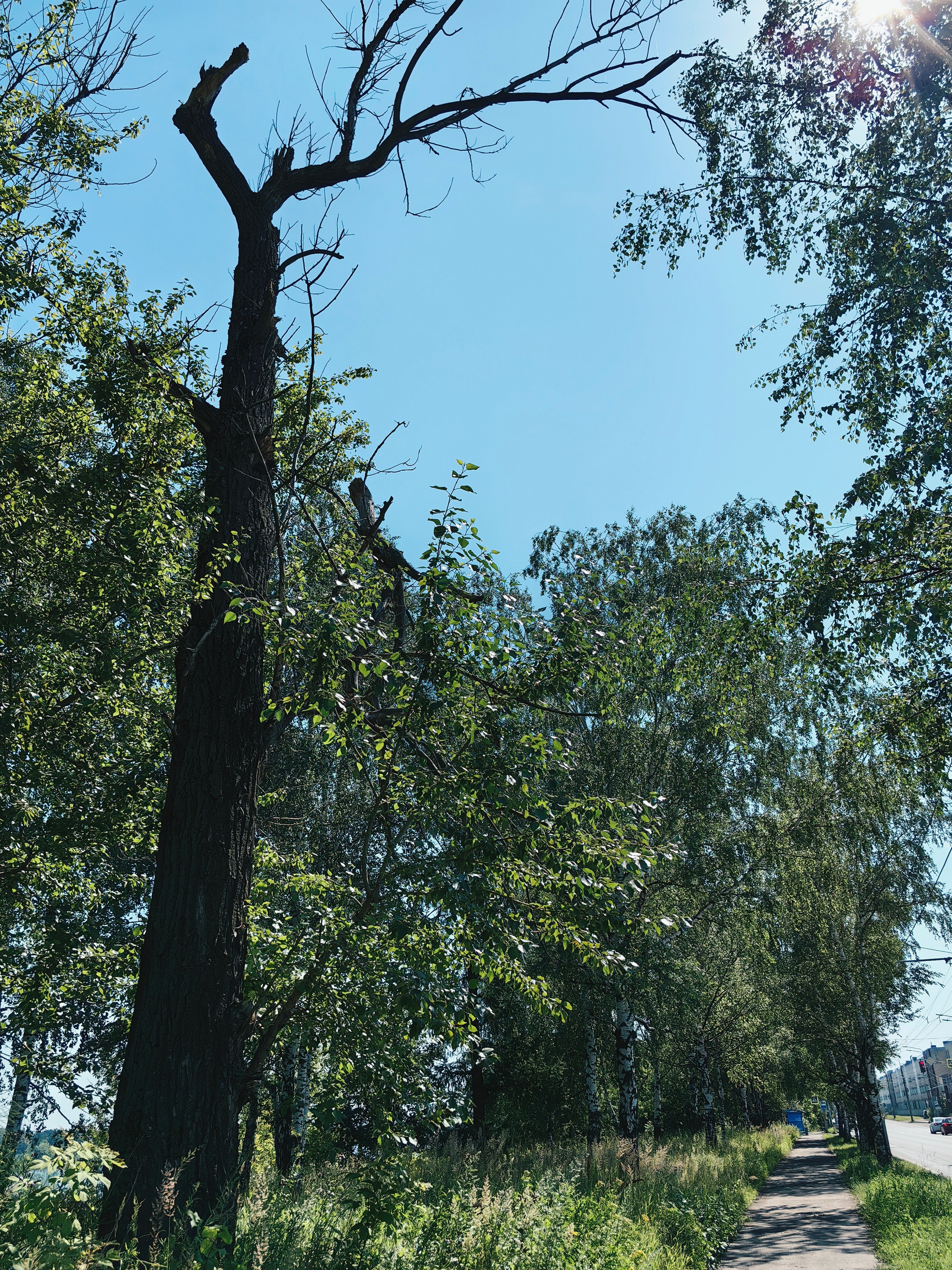 Галерея Huawei p60. Константин Устинов — фотограф