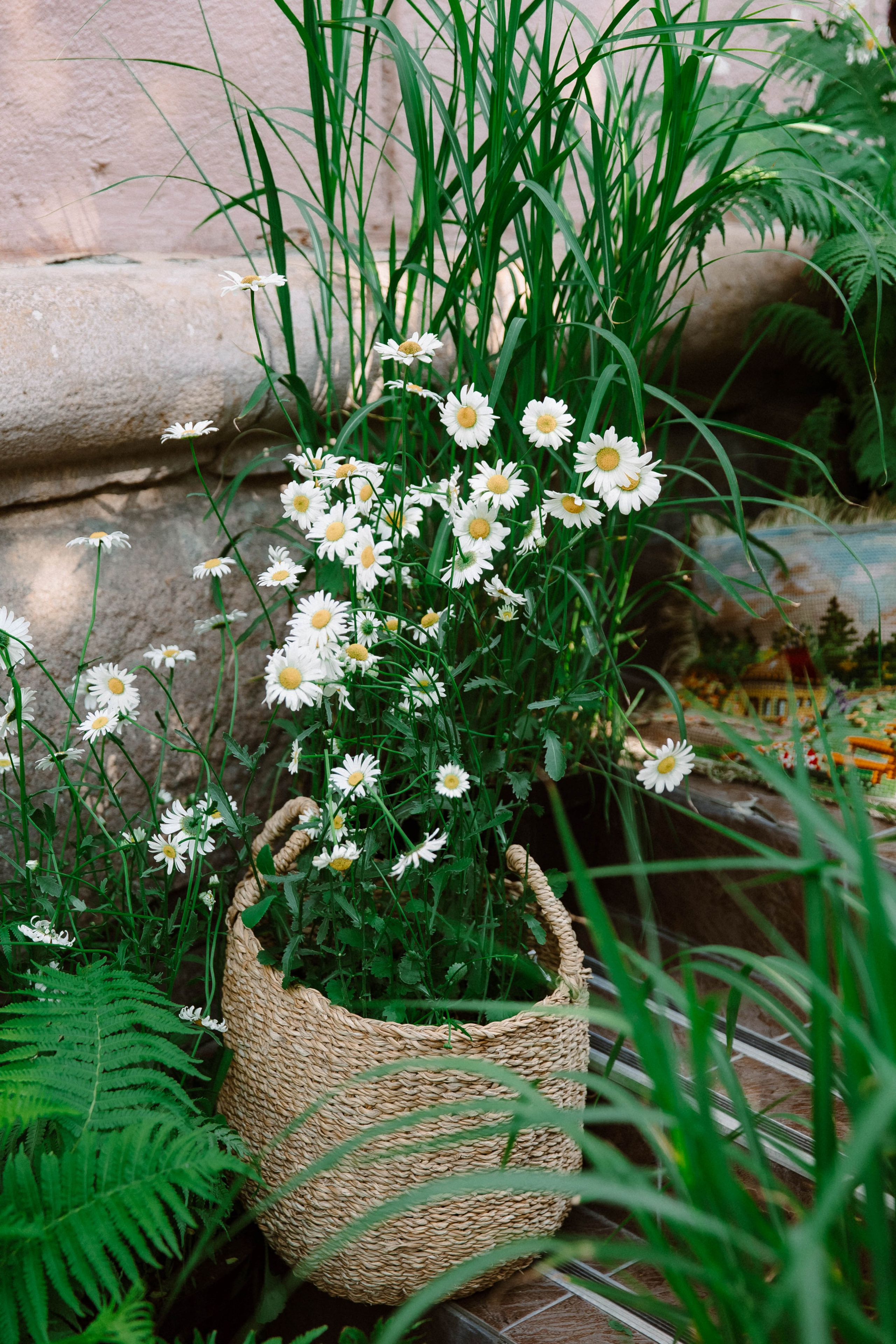 Лето на Советской