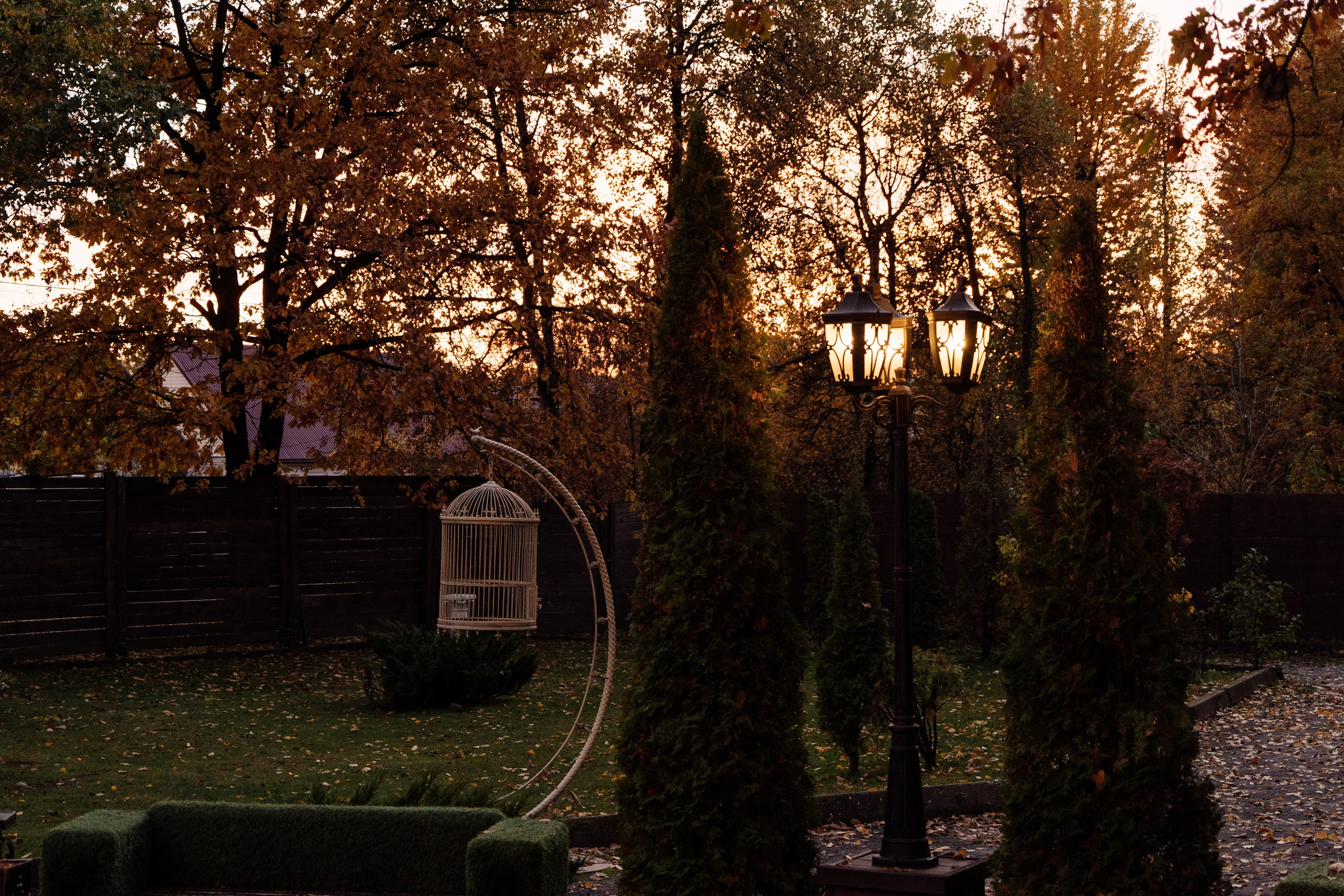 Владислав и Диана. Свадебный и репортажный фотограф видеограф Брянск/Москва