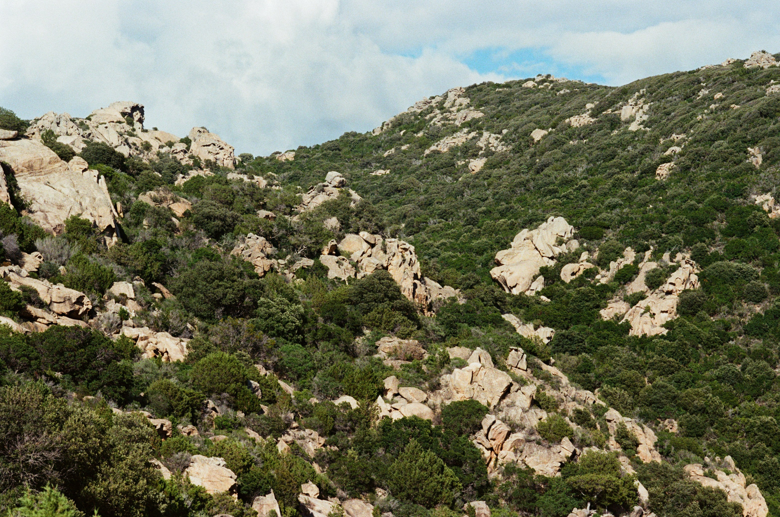 Silence is also an answer // corsica II. EVER EXPOSED