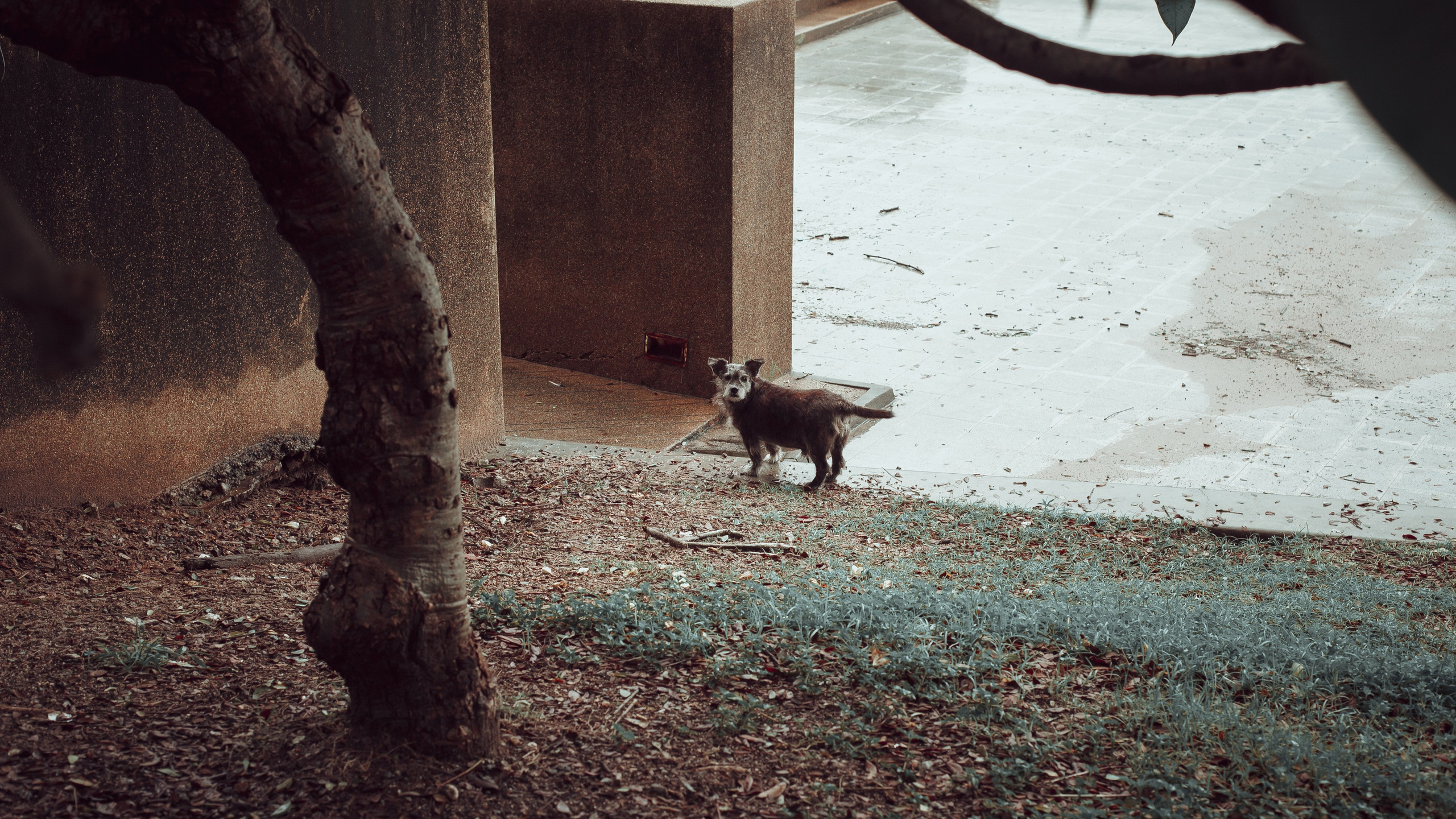 Самуи Собачий остров. Ню Фотограф Александр Касымов Москва, фотосессии, Химки фотограф