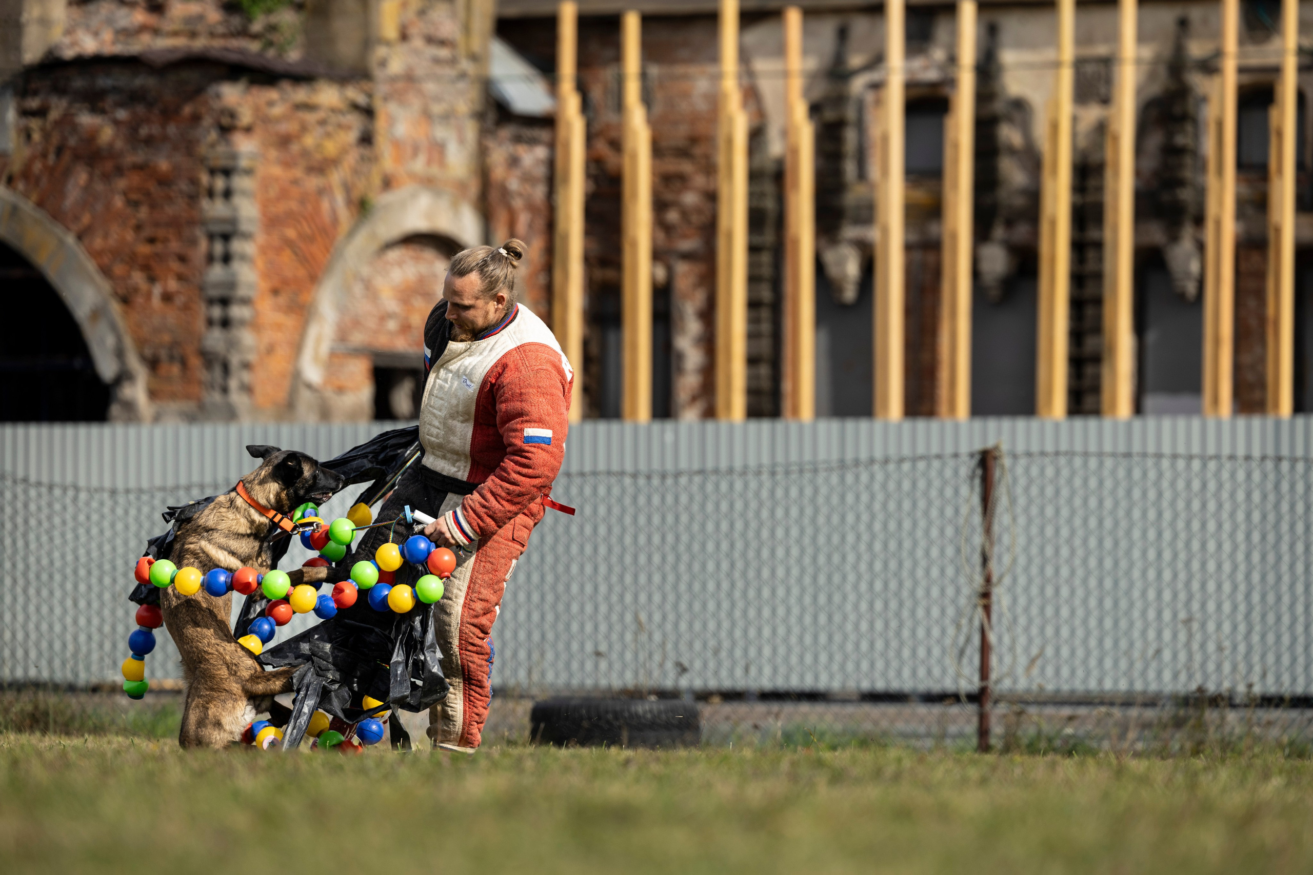 Испытания по Мондьорингу г. Пушкин. Фотограф-анималист Анна Маринич
