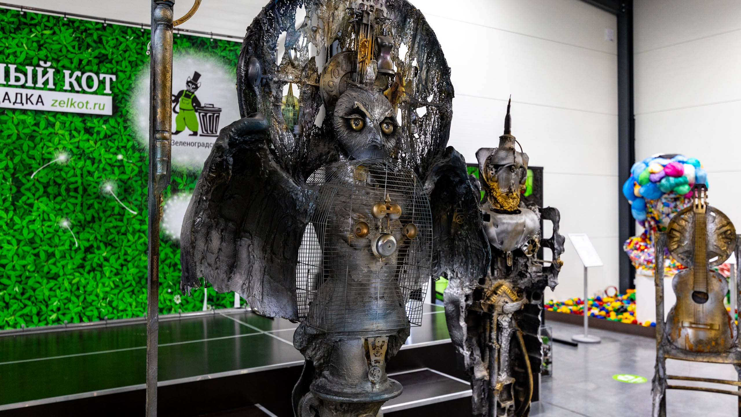 2024 01 Калининград (Светлогорск, Зеленоградск). Фотографии