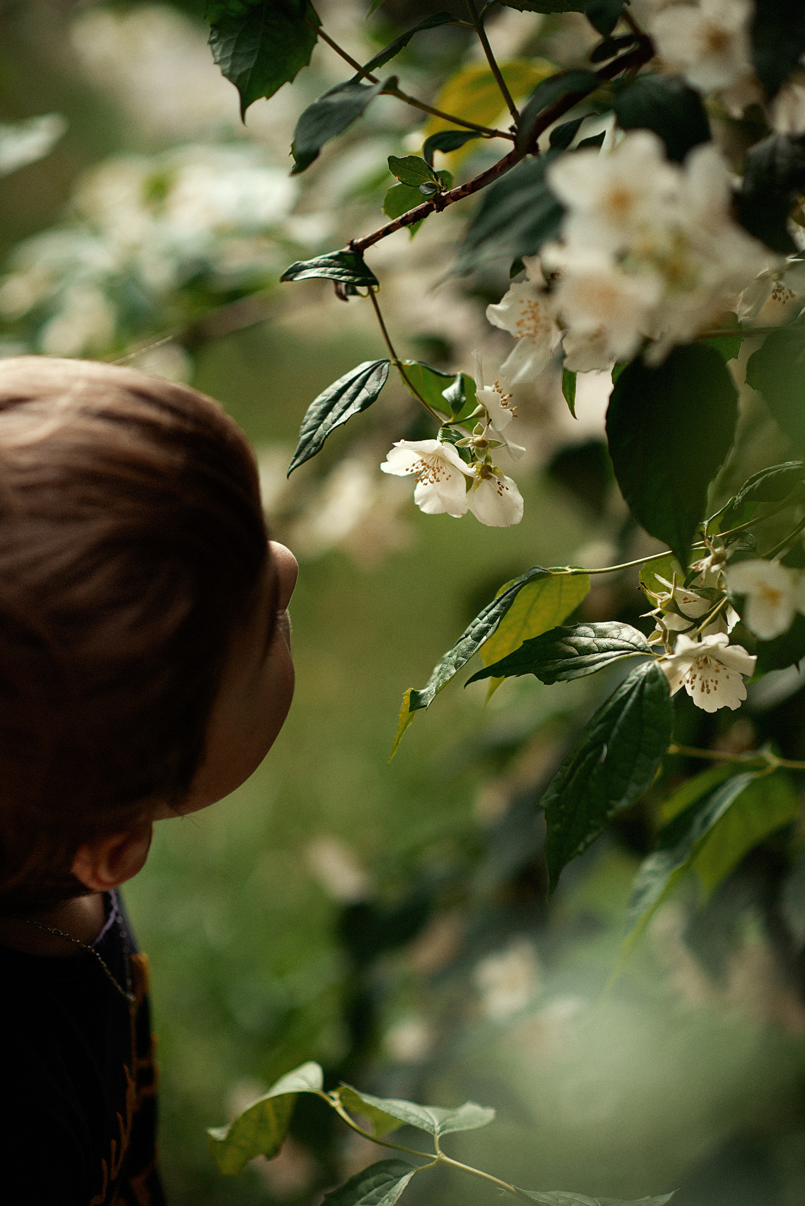 Семья. Свадебный и семейный фотограф Симферополь Крым Юлия Титова