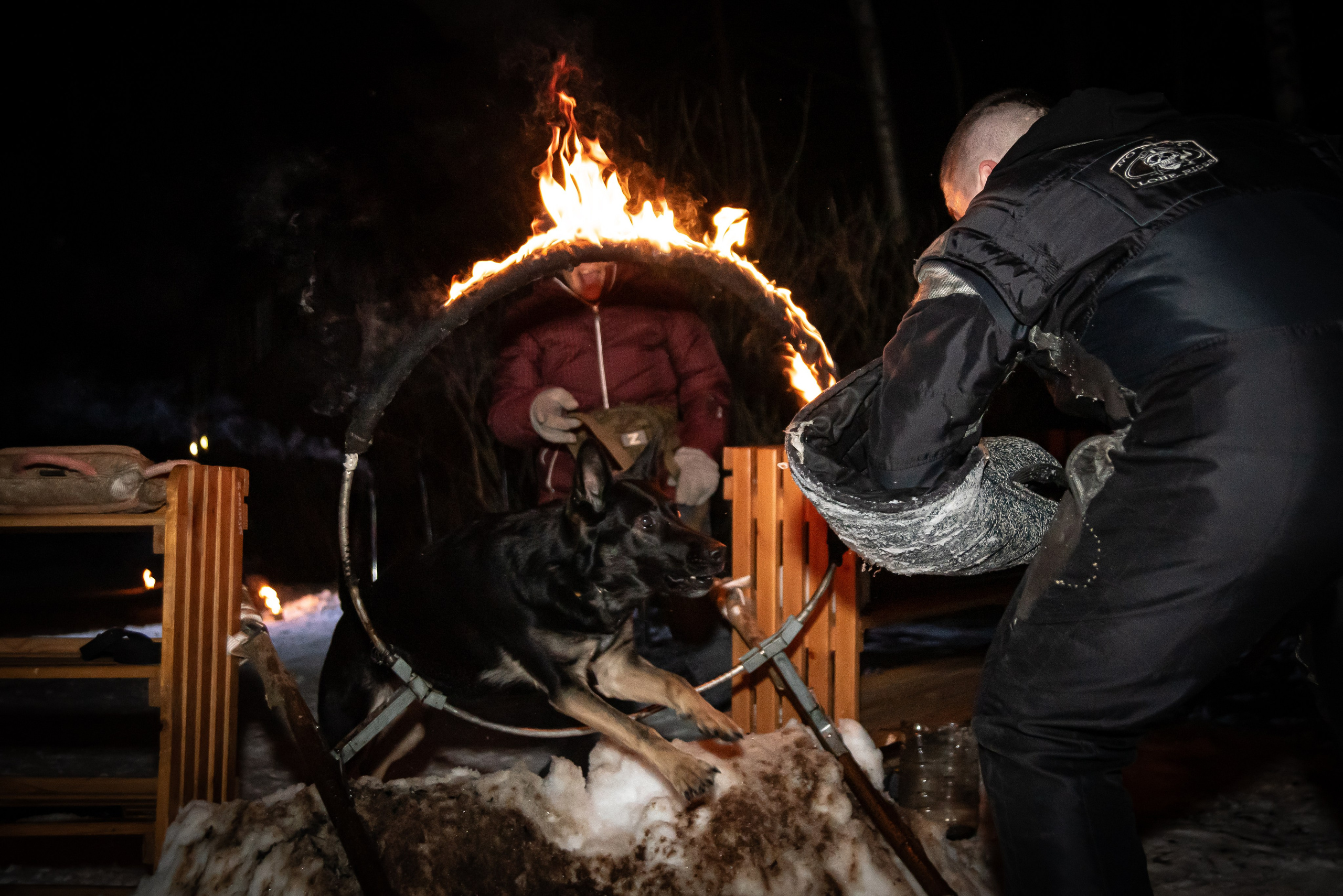 Фотосъёмка с собаками в Кинологическом лагере. Фотограф Макс Огурцов в Нижнем Новгороде