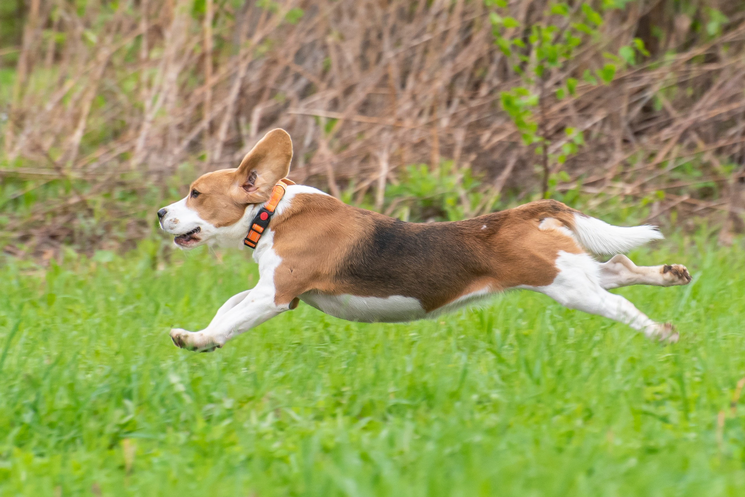 Фотографии с Курсинга. Фотограф Макс Огурцов в Нижнем Новгороде