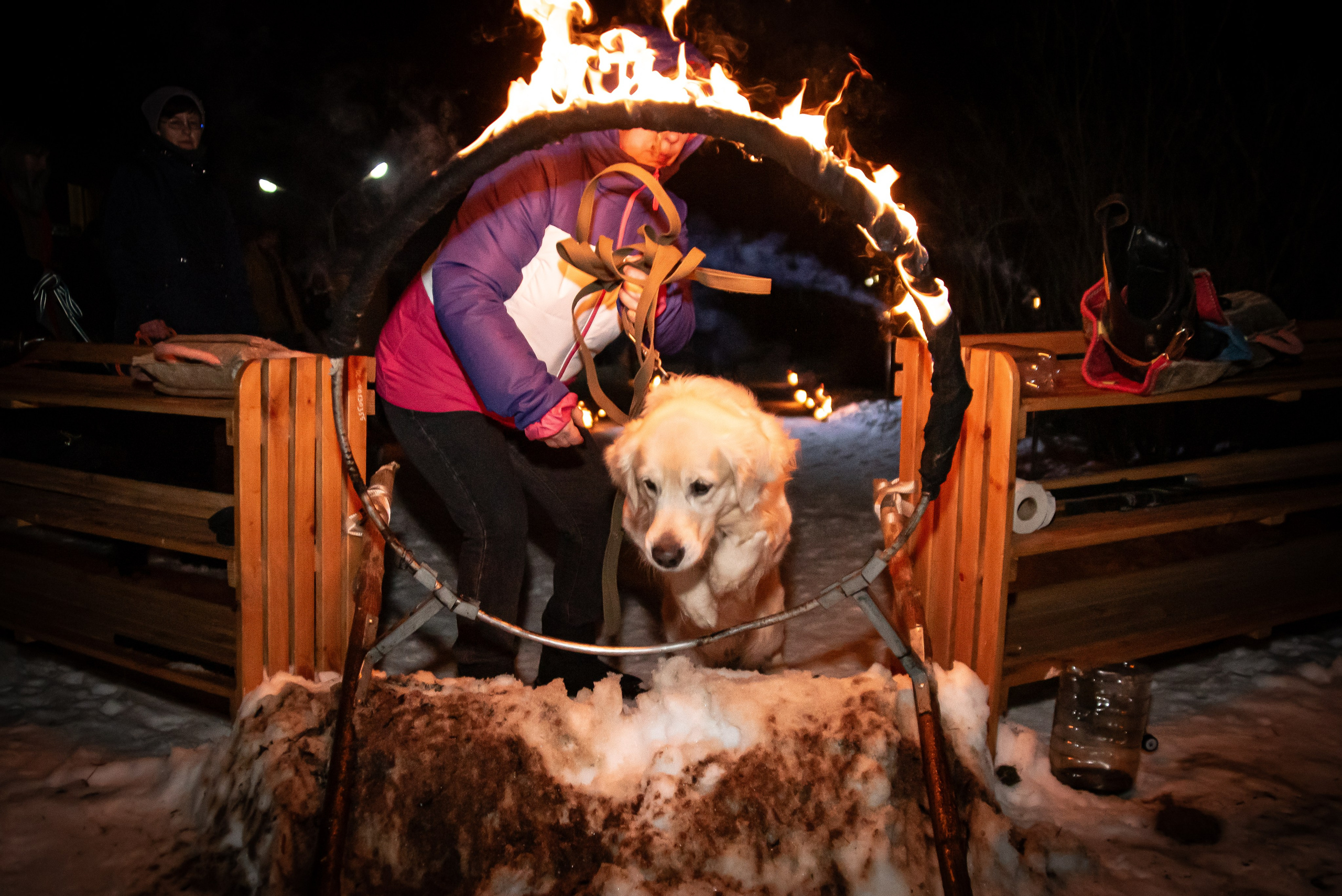 Фотосъёмка с собаками в Кинологическом лагере. Фотограф Макс Огурцов в Нижнем Новгороде