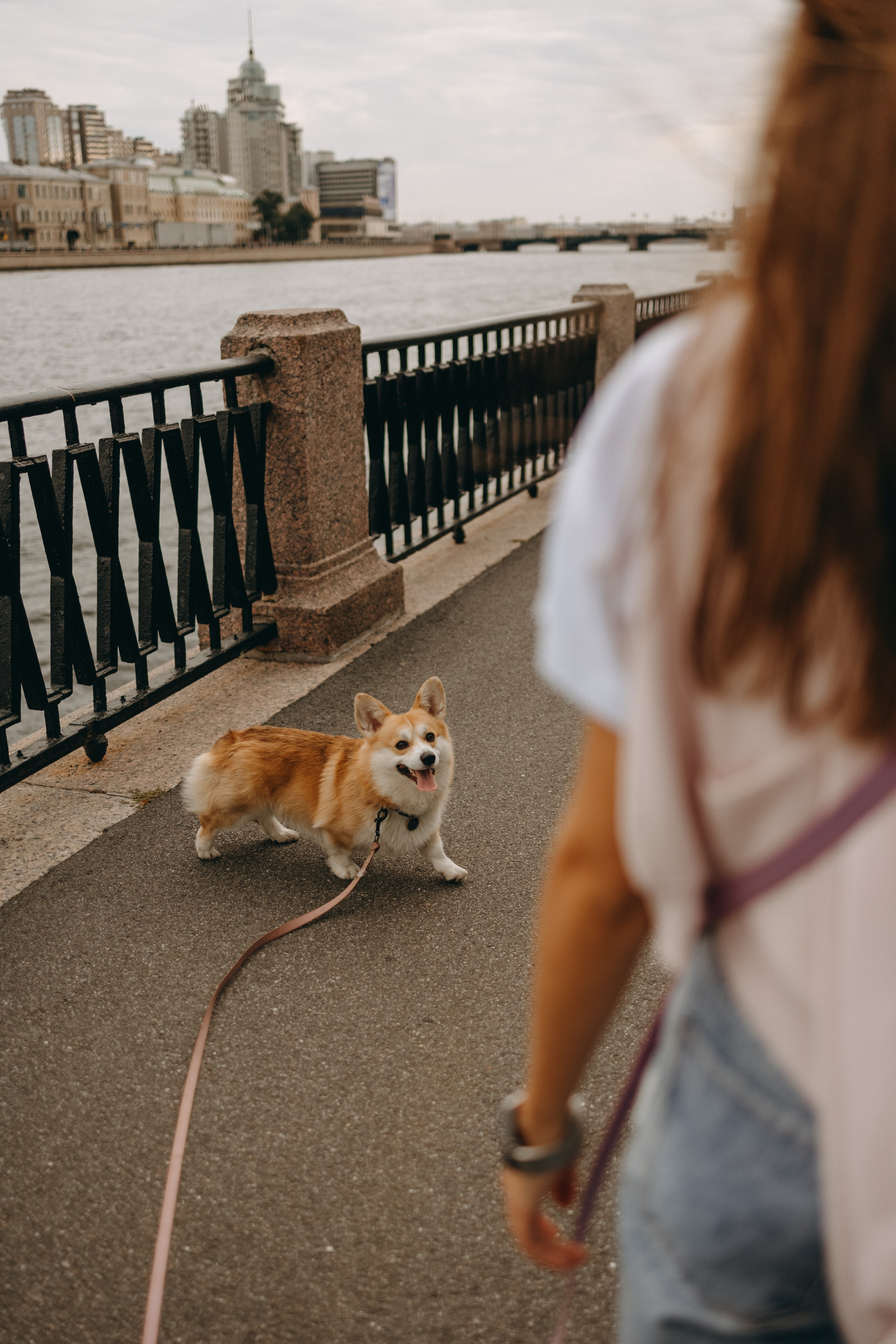 Лиза и Бакс. Фотограф — Анималист | Санкт-Петербург