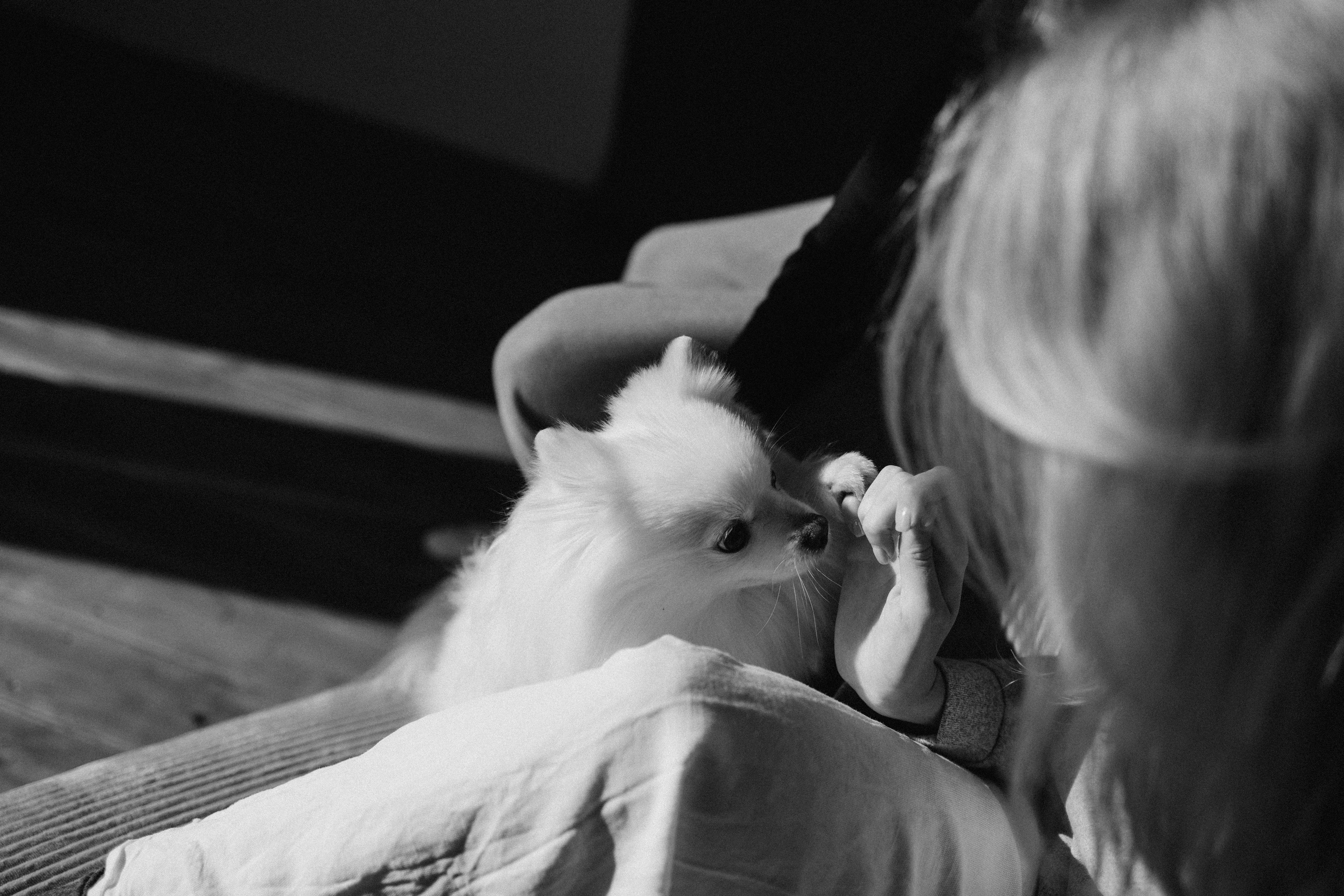 Джесси и ее семья. Фотограф — Анималист | Санкт-Петербург