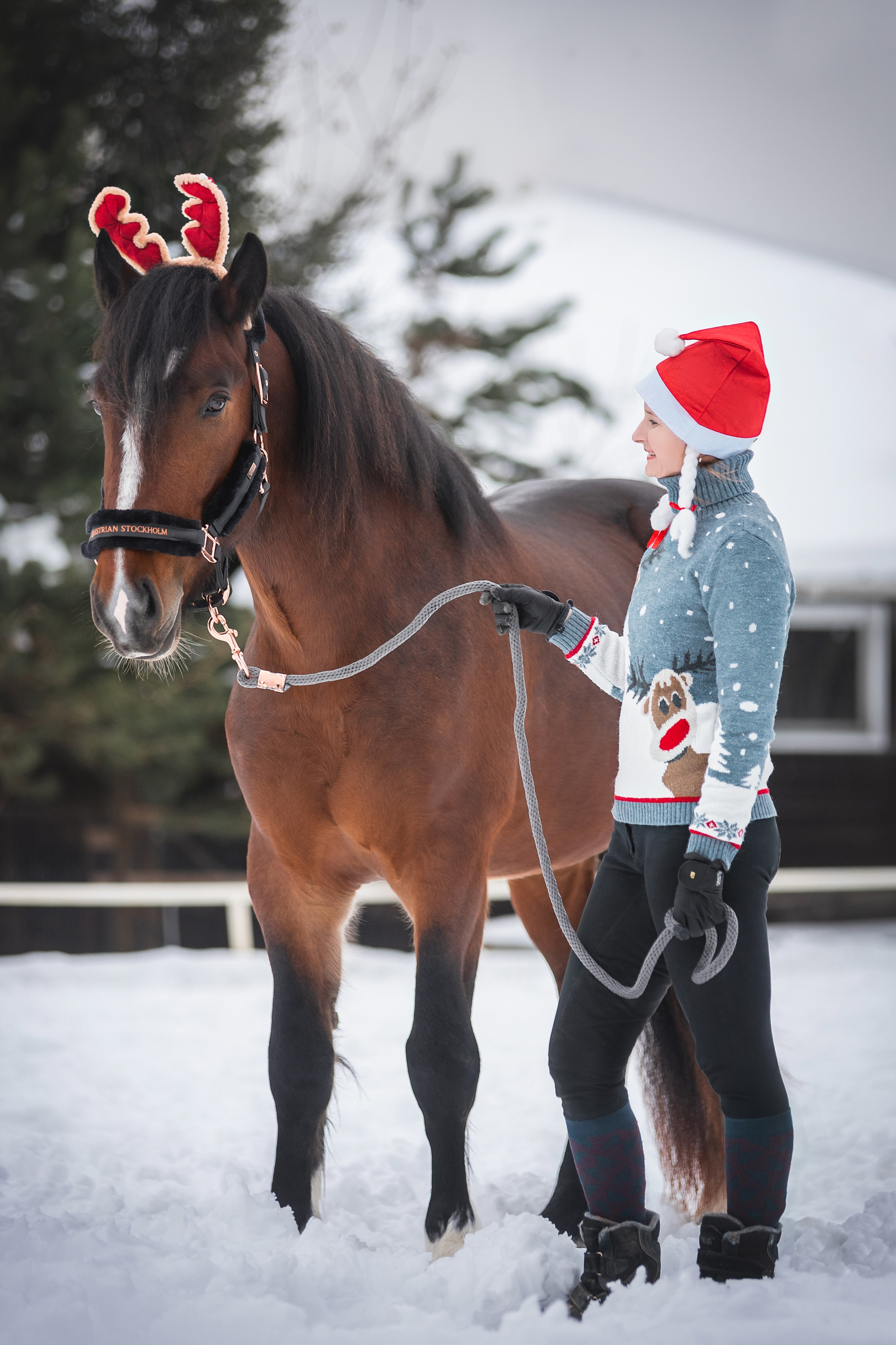 Новогодний Волконский. Конный фотограф Куракина Дарья • Фотосессии с лошадьми