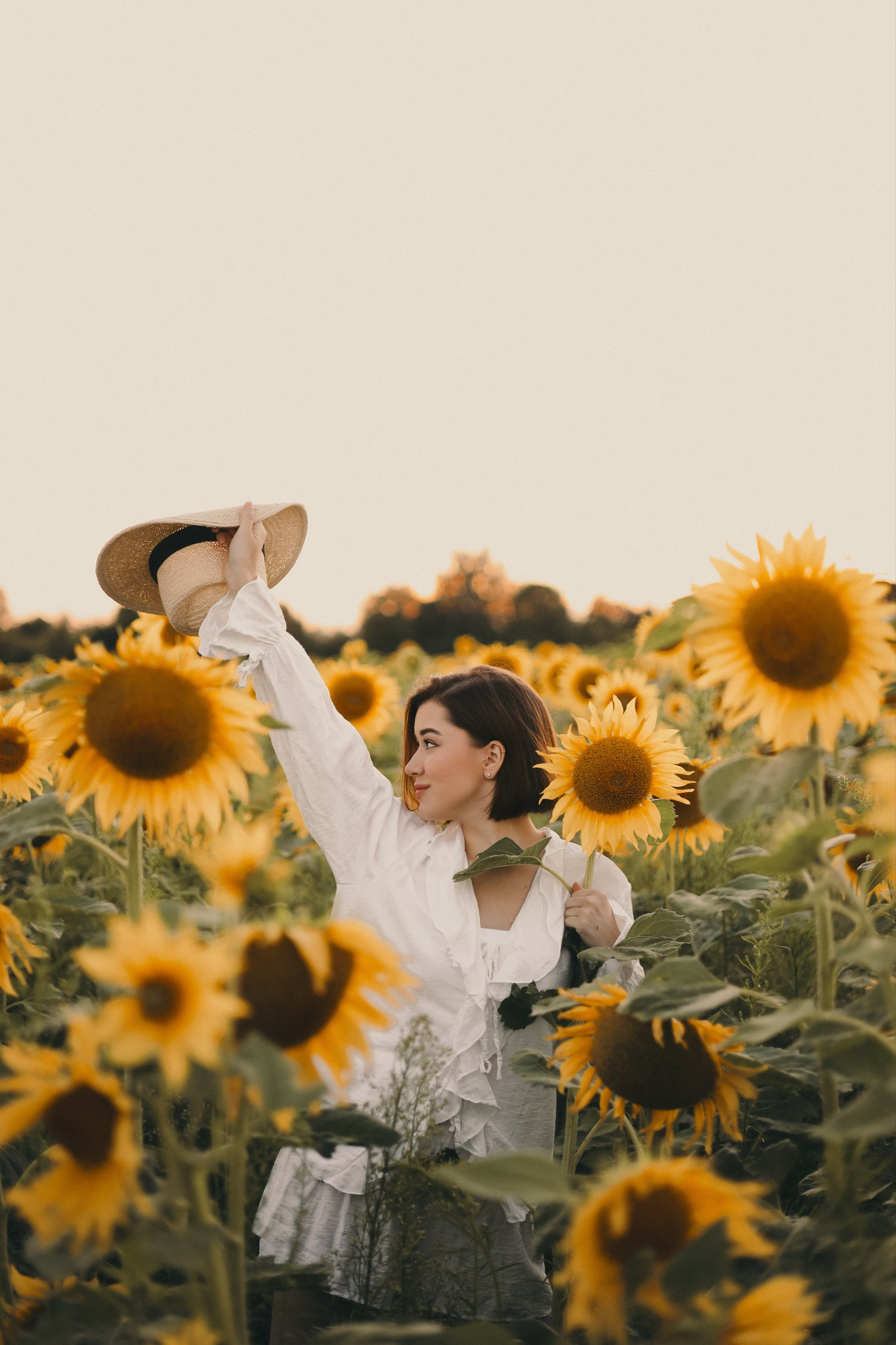 Владислава | Подсолнухи. Фотограф Мария Лаенко