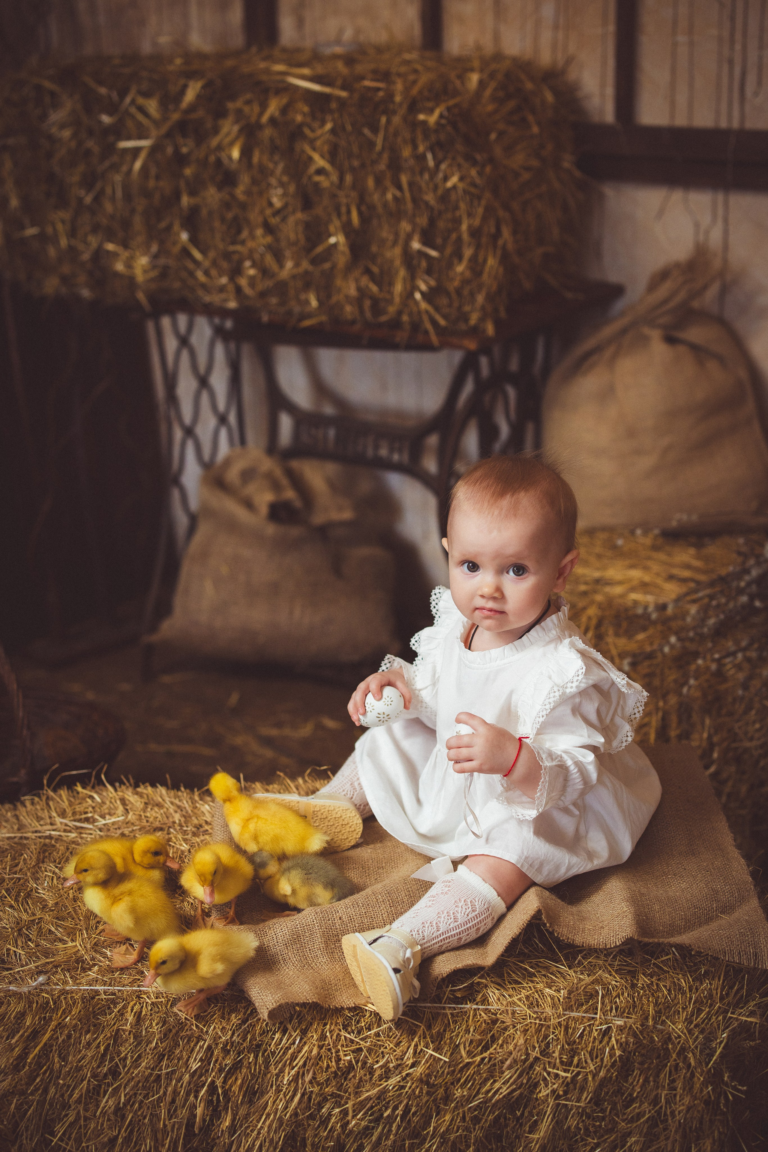 Пасхальный фотопроект с козочкой и утятами, в фотостудии «Эль» 2024 г. Семейный и детский фотограф в Краснодаре Анна Трашкова