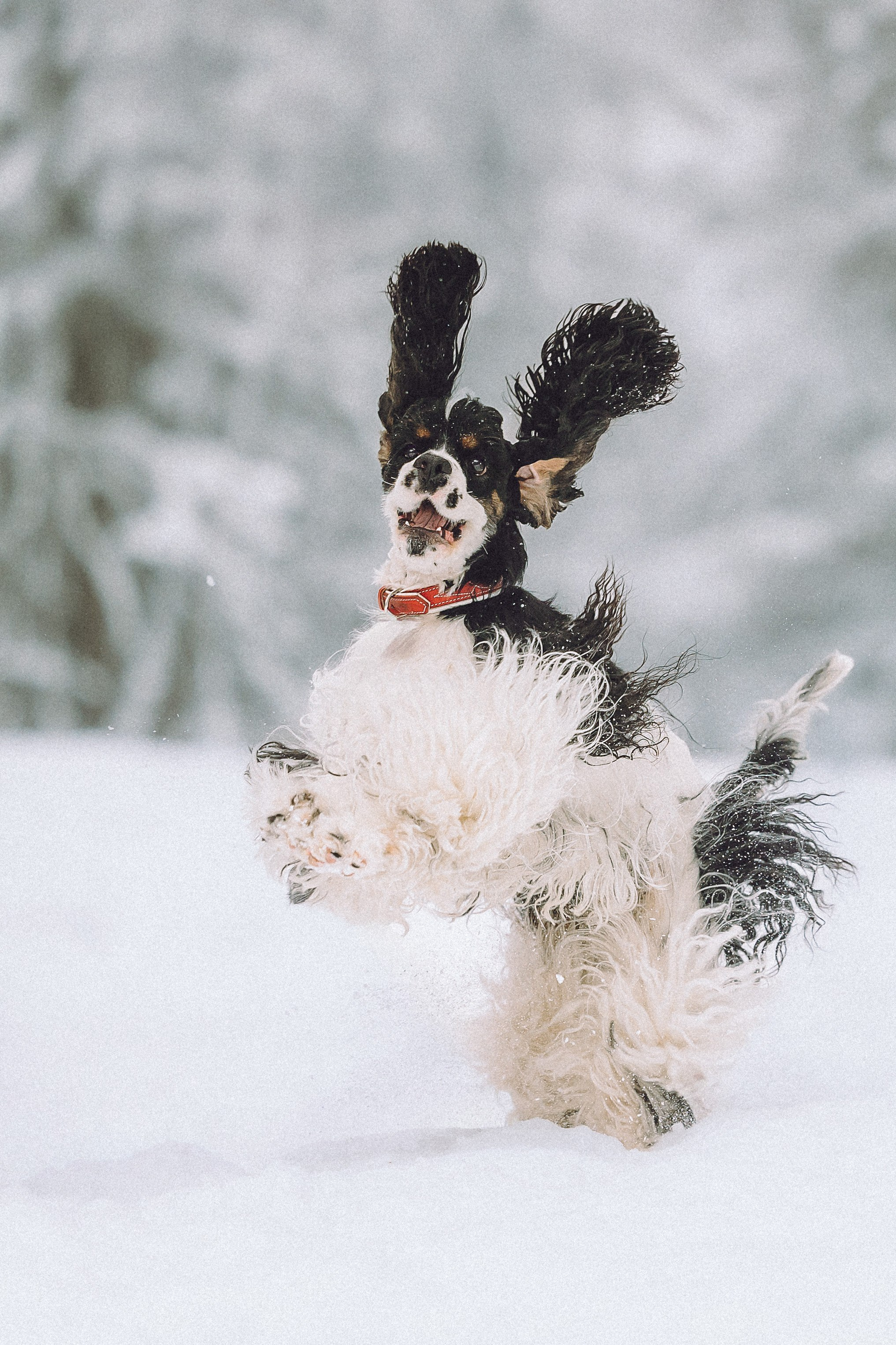 Ольга и Патрик