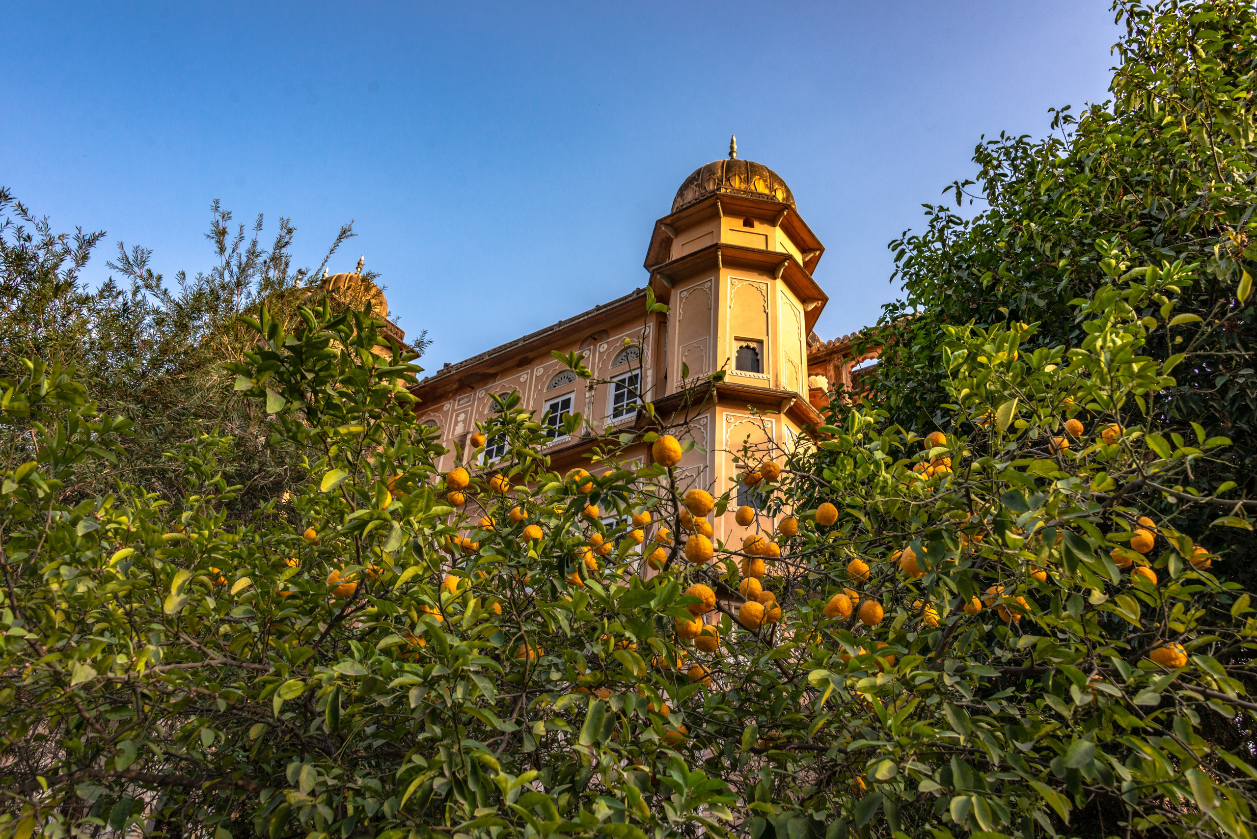 Дворец-отель Patan Mahal. Фотограф Лара Кучина
