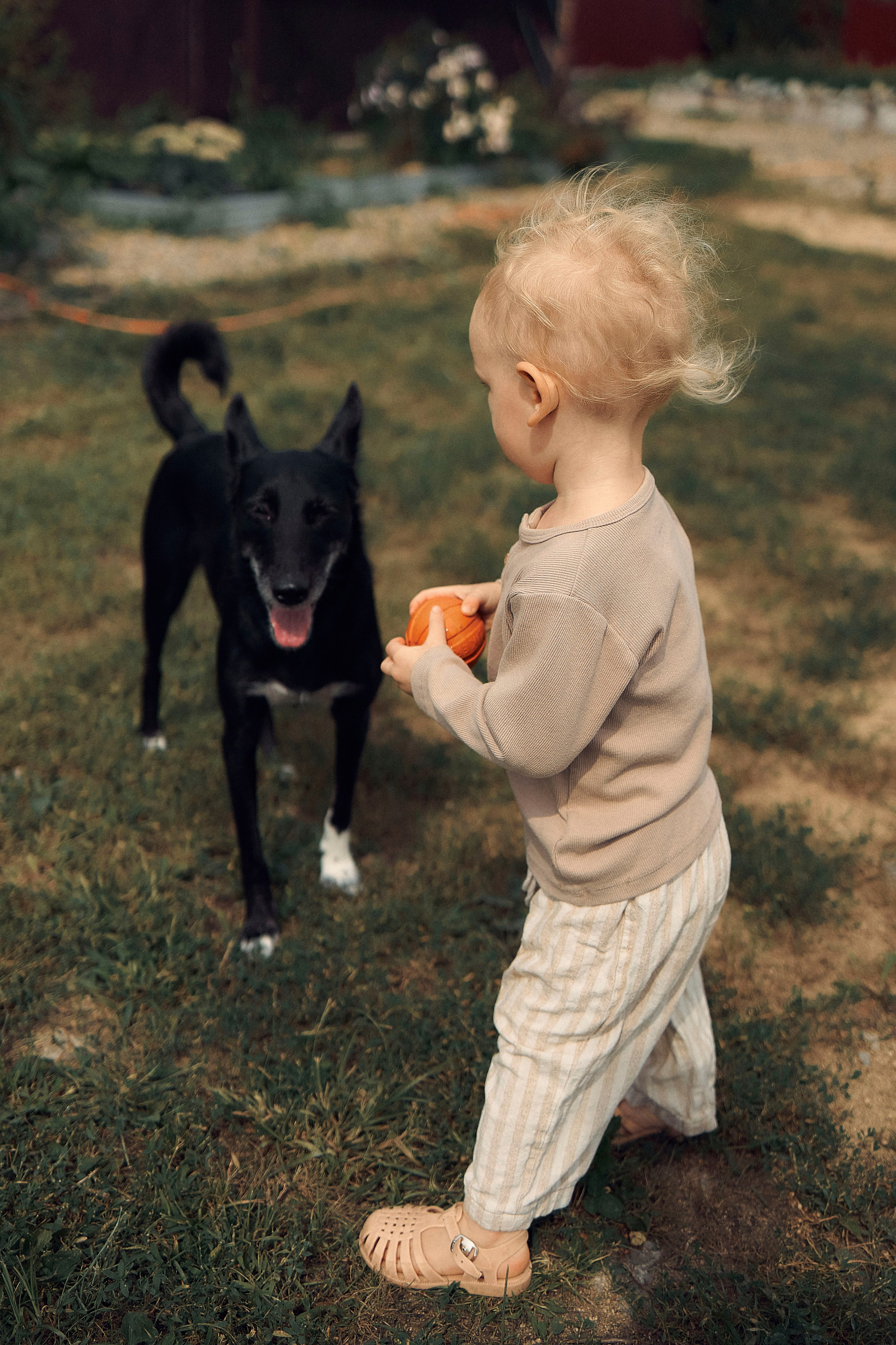 Портфолио. Edomaphoto.ru