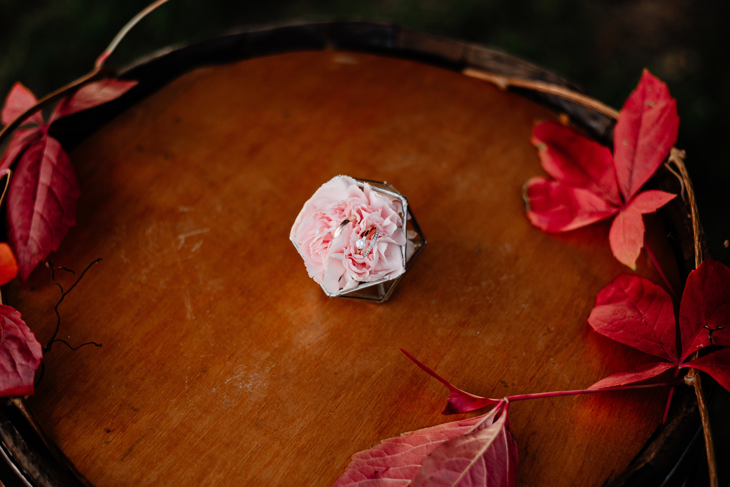 Victor&Alexandra. Свадебный фотограф в Минске и Жлобине Светлана Карпович