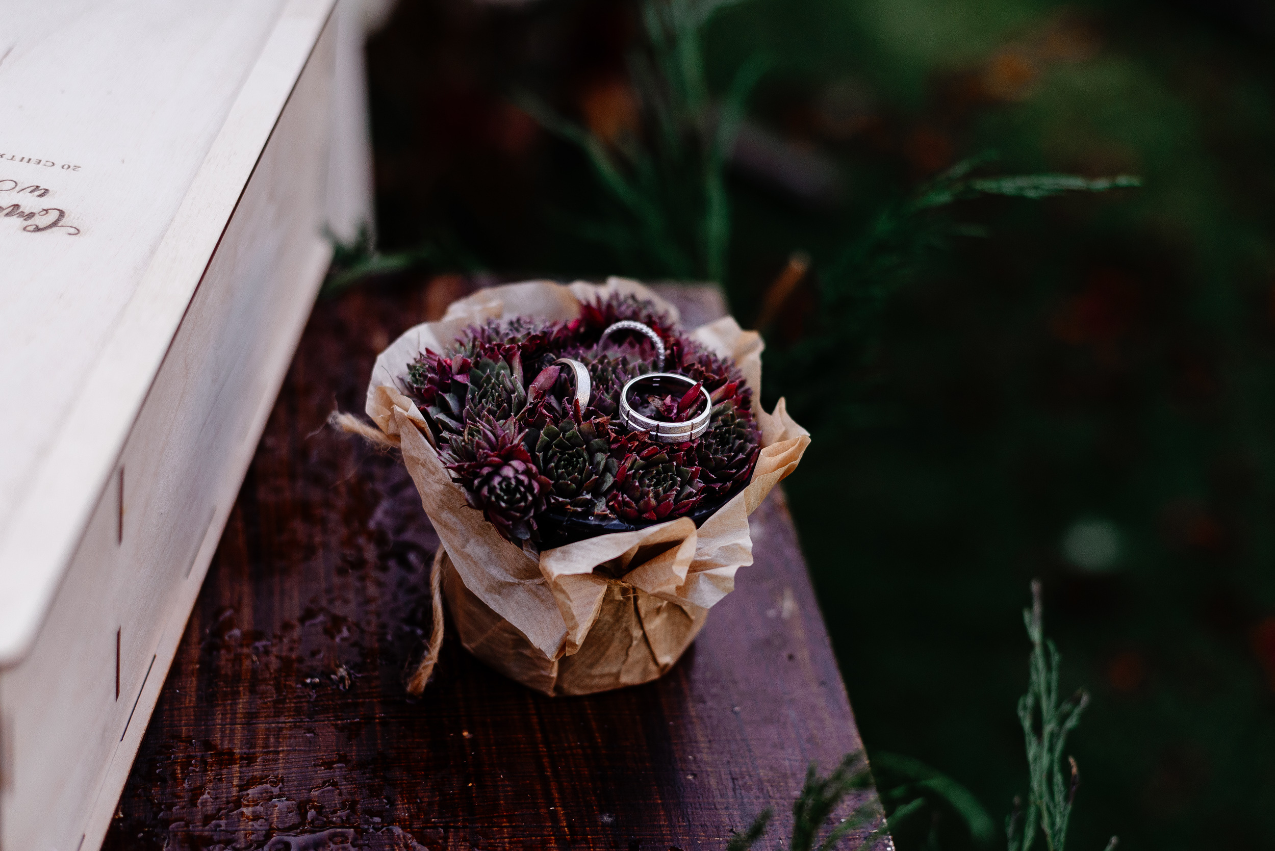Stanislav&Anna. Свадебный фотограф в Минске и Жлобине Светлана Карпович