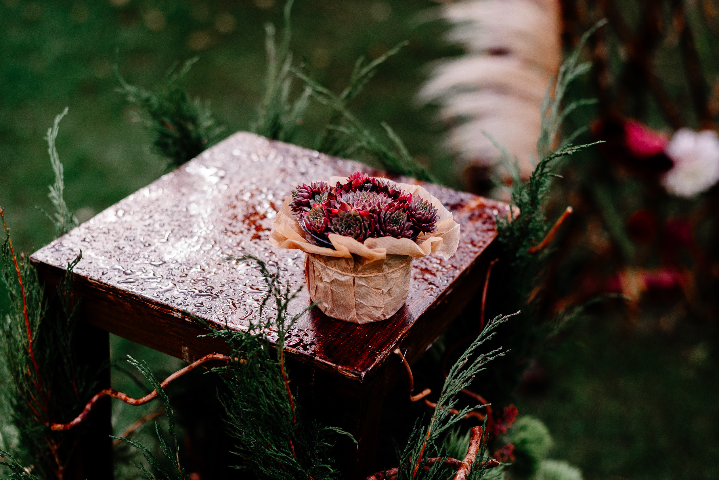 Stanislav&Anna. Свадебный фотограф в Минске и Жлобине Светлана Карпович