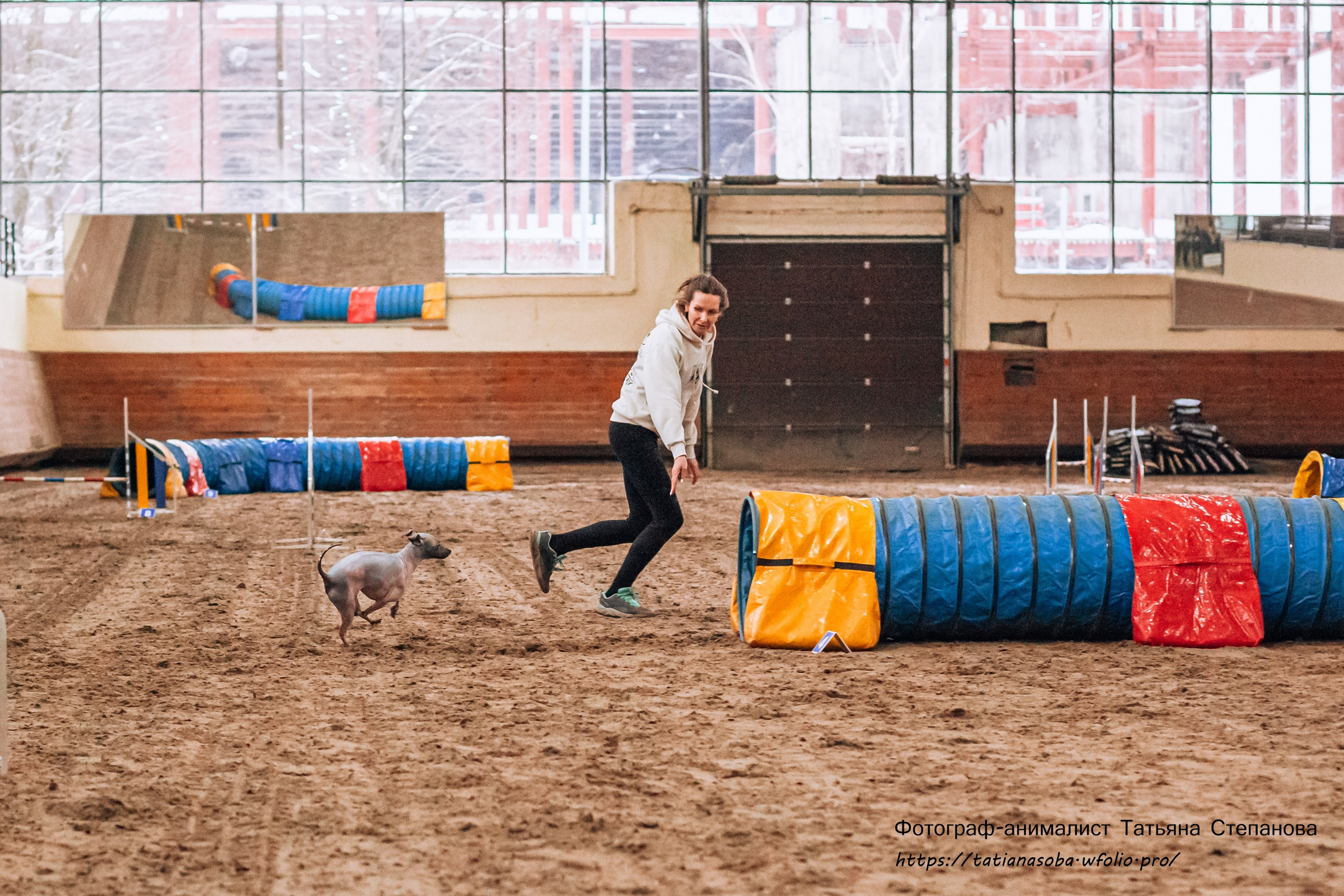 Соревнования по Аджилити 25.02.2024. Фотограф-анималист Татьяна Степанова