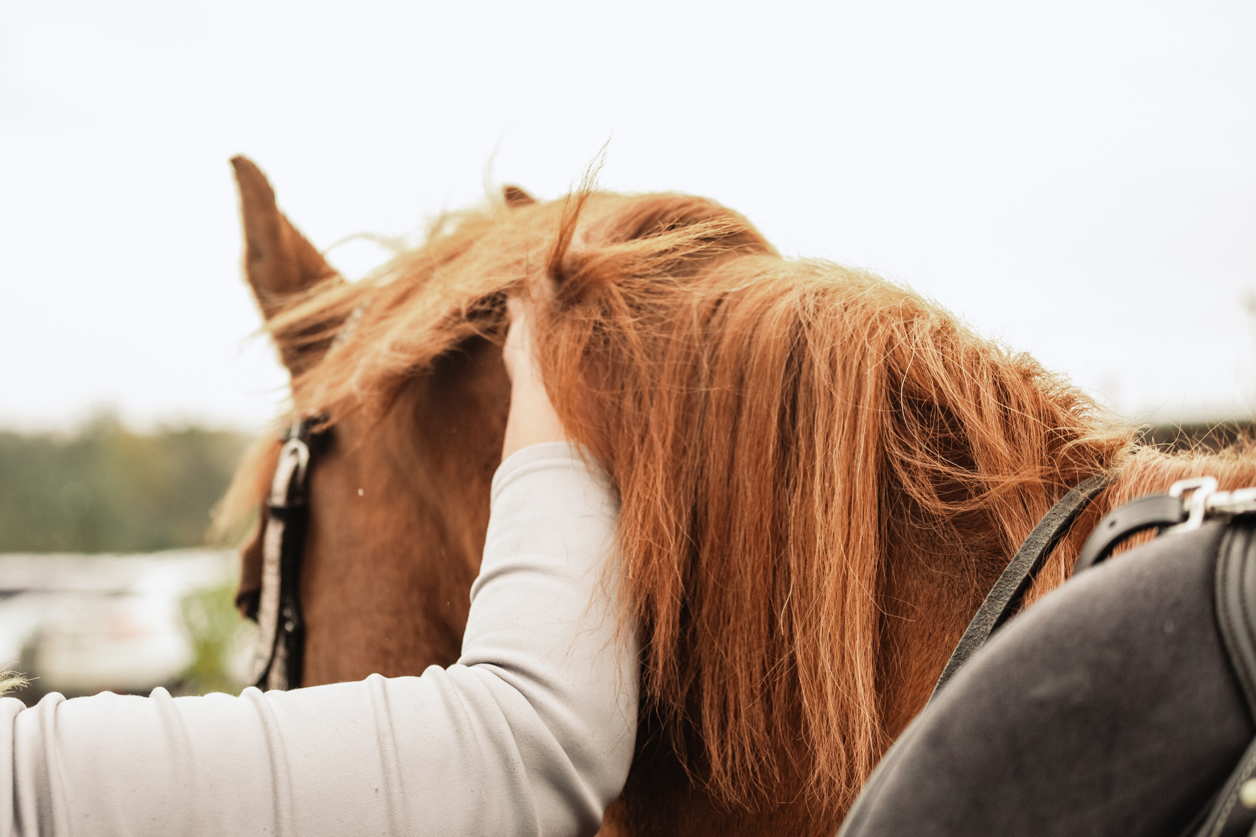 Лена и Рэджи. Фотограф-анималист Татьяна Степанова