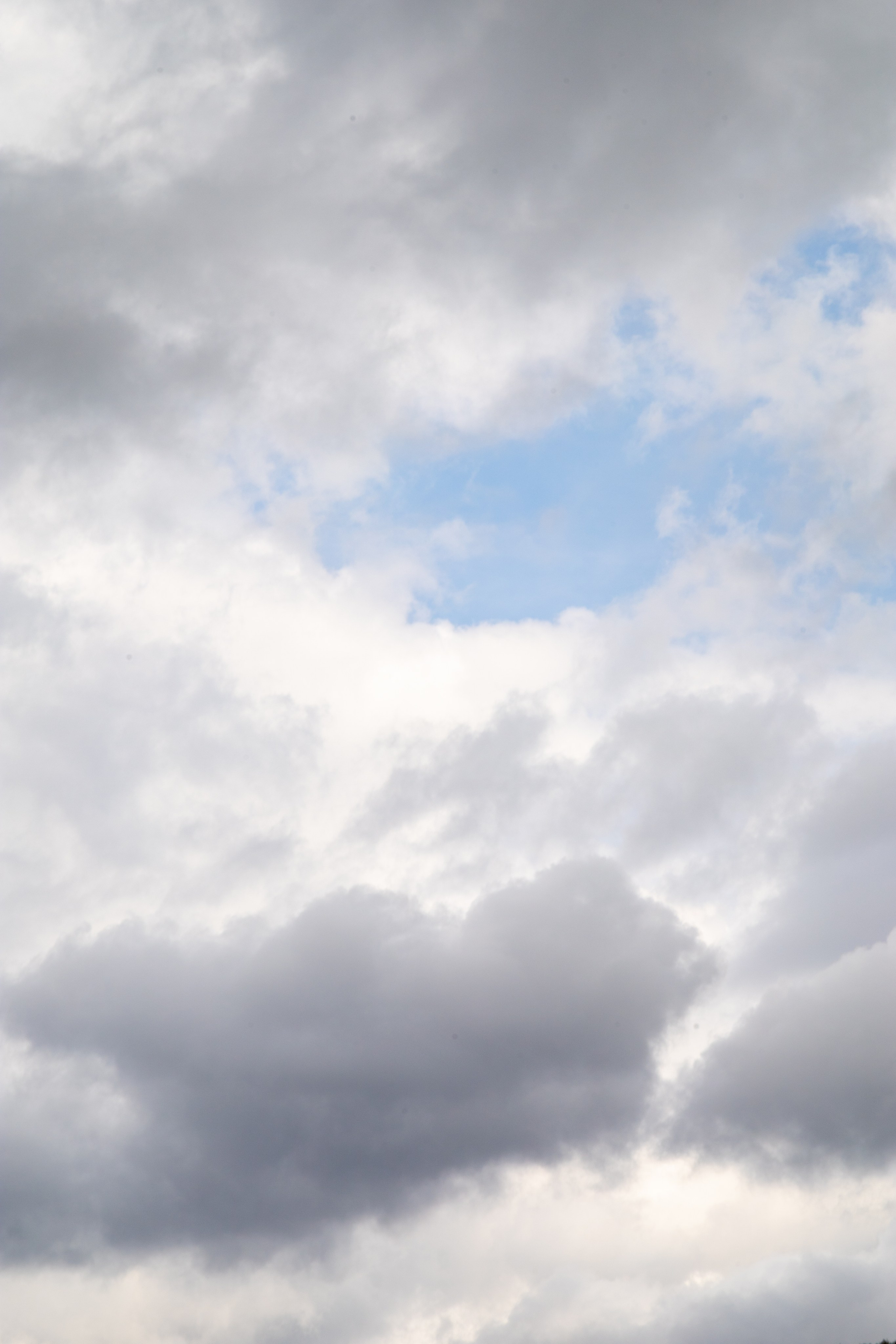 Природа. Фотограф в Южно-Сахалинске Гусаков Евгений