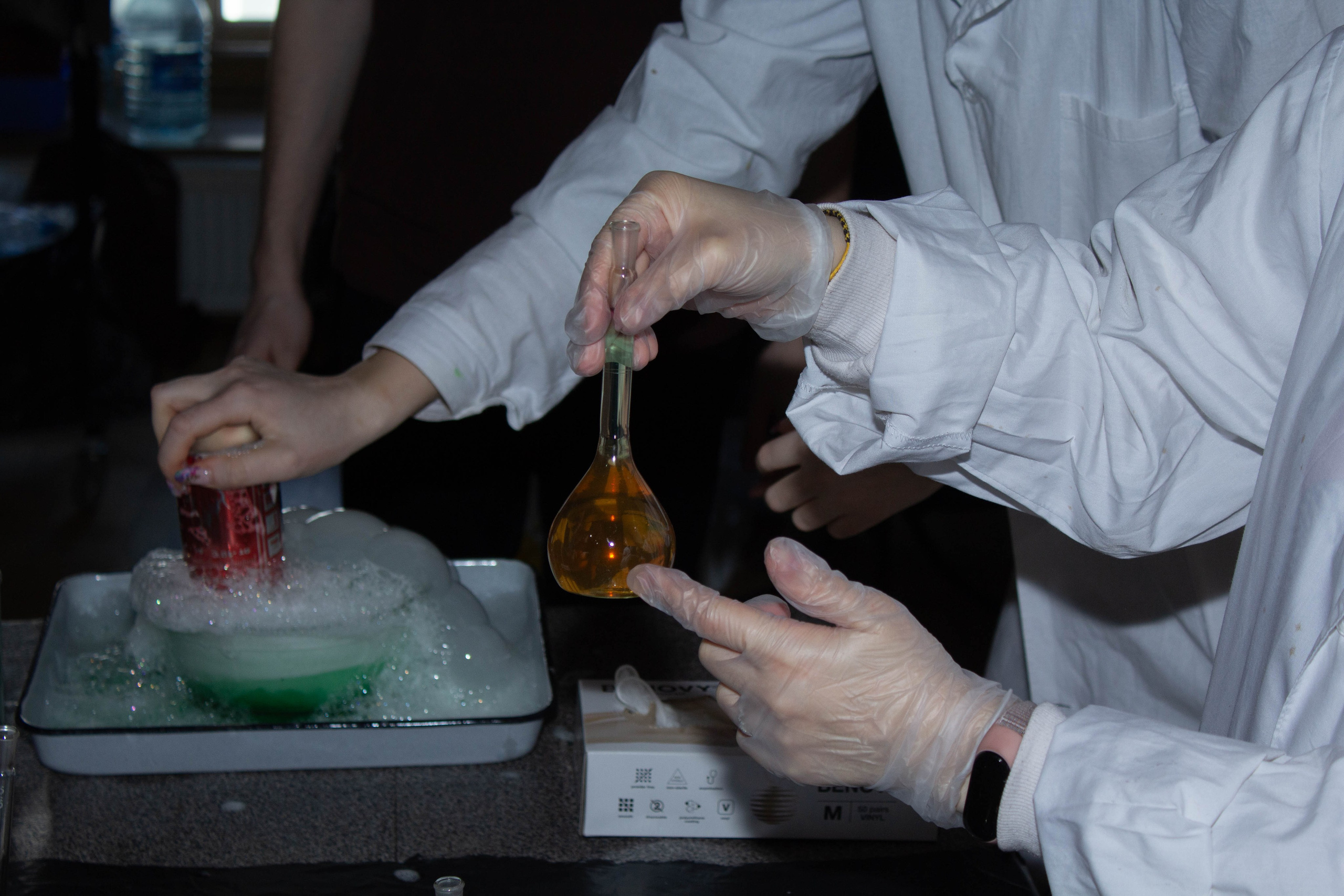 Ненаучка 2024. Карпогоры, Санкт-Петербург