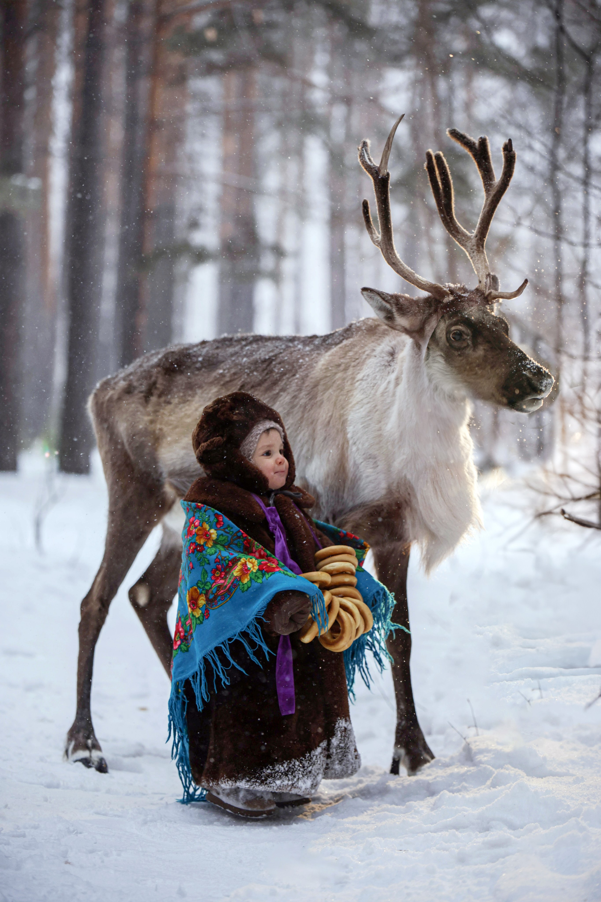 Олениха Нося 2024. Конный фотограф в Красноярске — Любовь Похабова