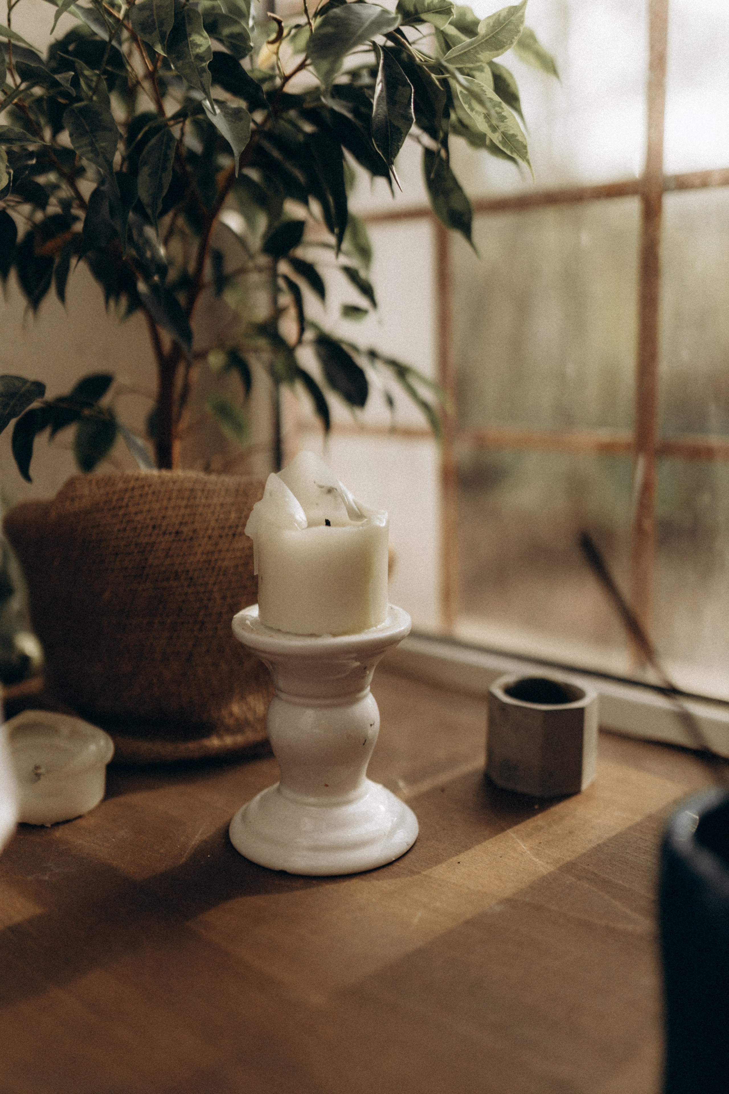 Контент для мастера чайной церемонии/гвоздестояние. Фотограф НОГИНСК, Москва, Анастасия Белая