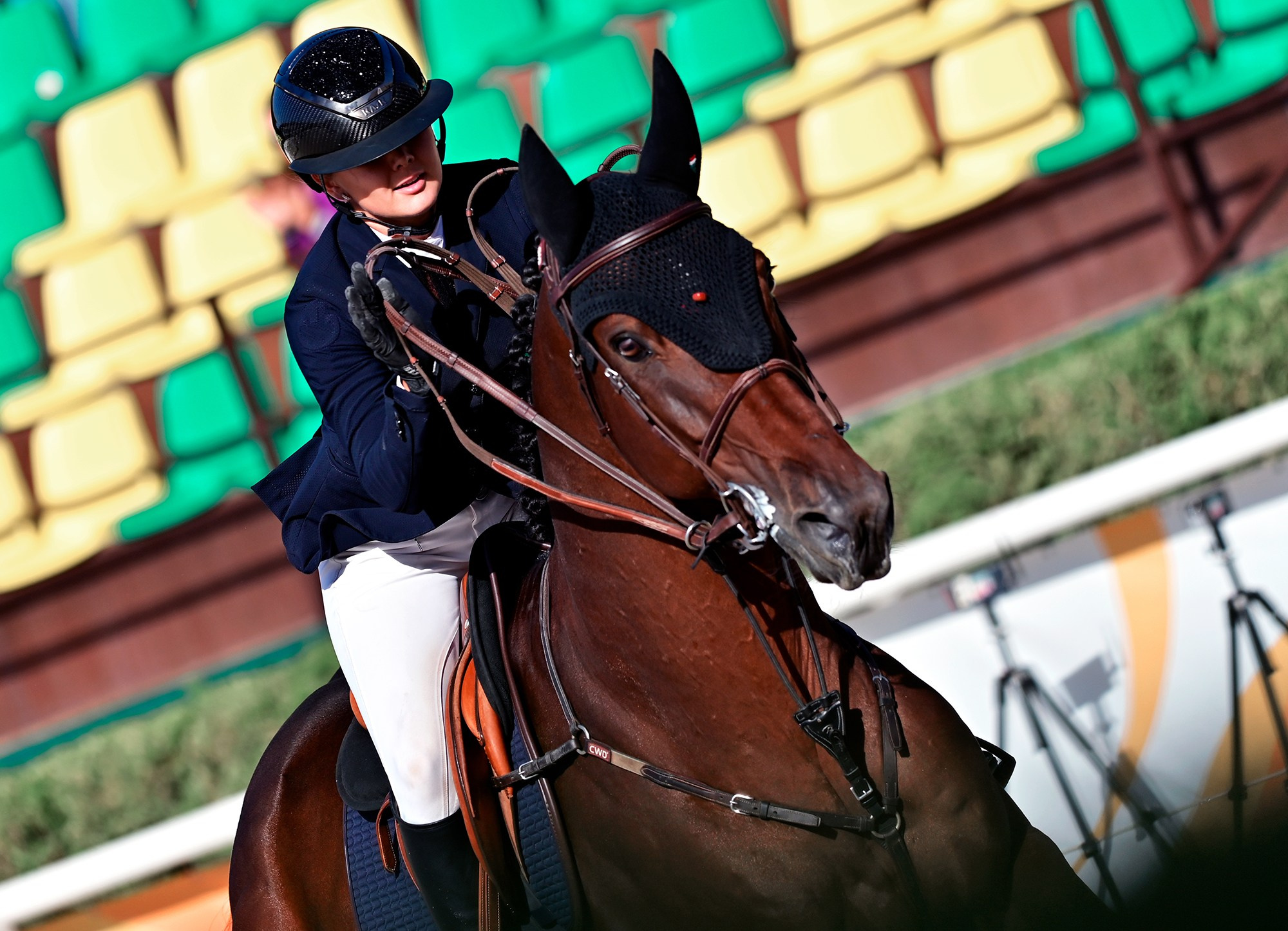 Голден. Конный фотограф Alesya Safe