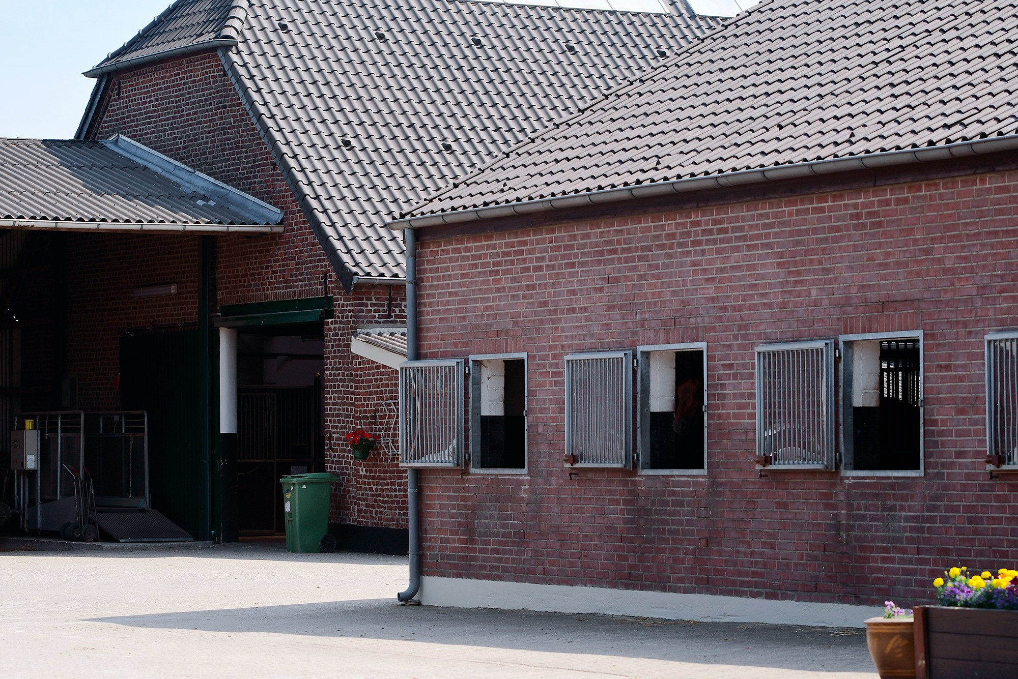 ЕС. Конный фотограф Alesya Safe