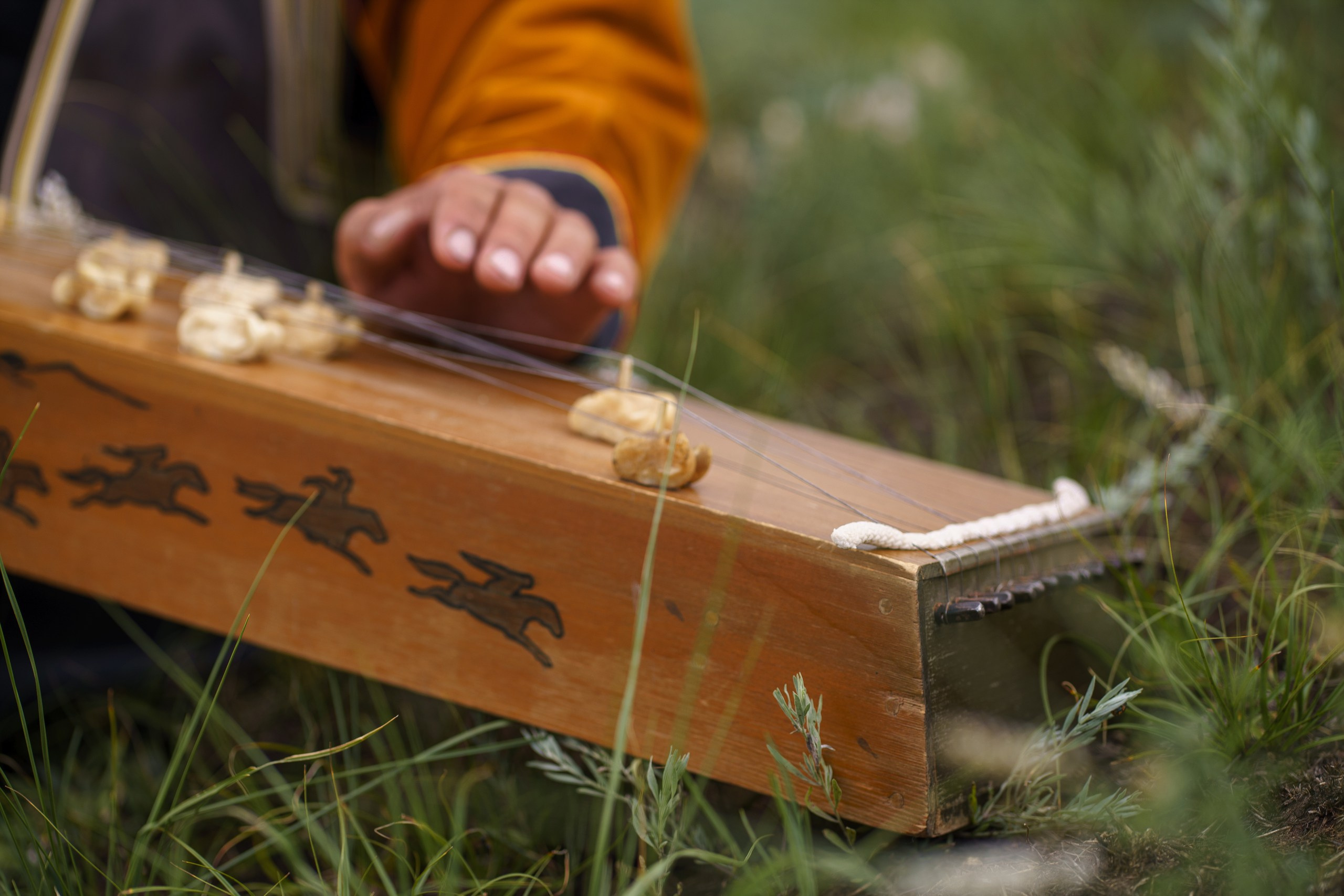 Струны степи. Фотограф в Красноярске Нерозя Александр. Пейзаж, природа, портрет