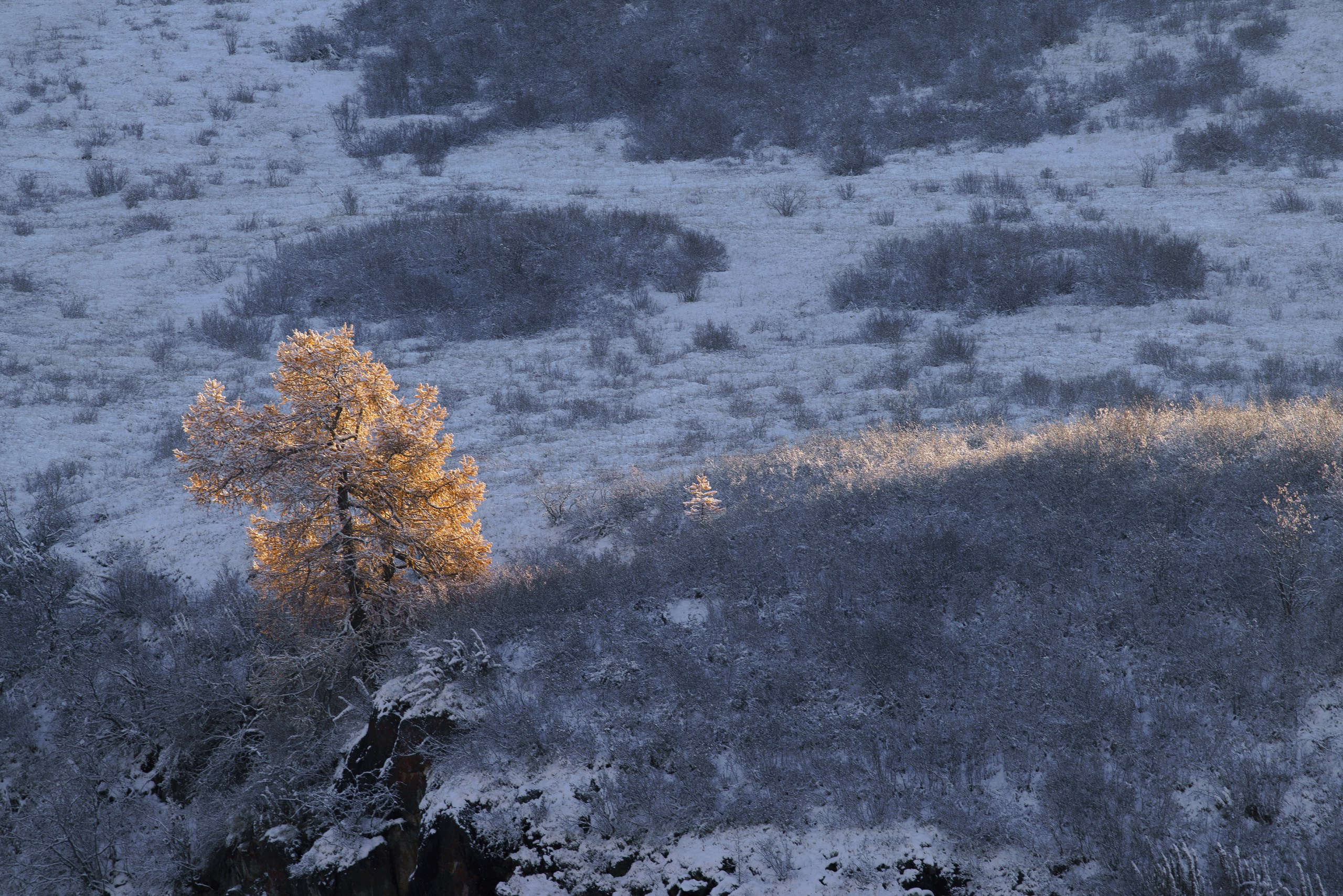 Бурятия. Фотограф в Красноярске Нерозя Александр. Пейзаж, природа, портрет