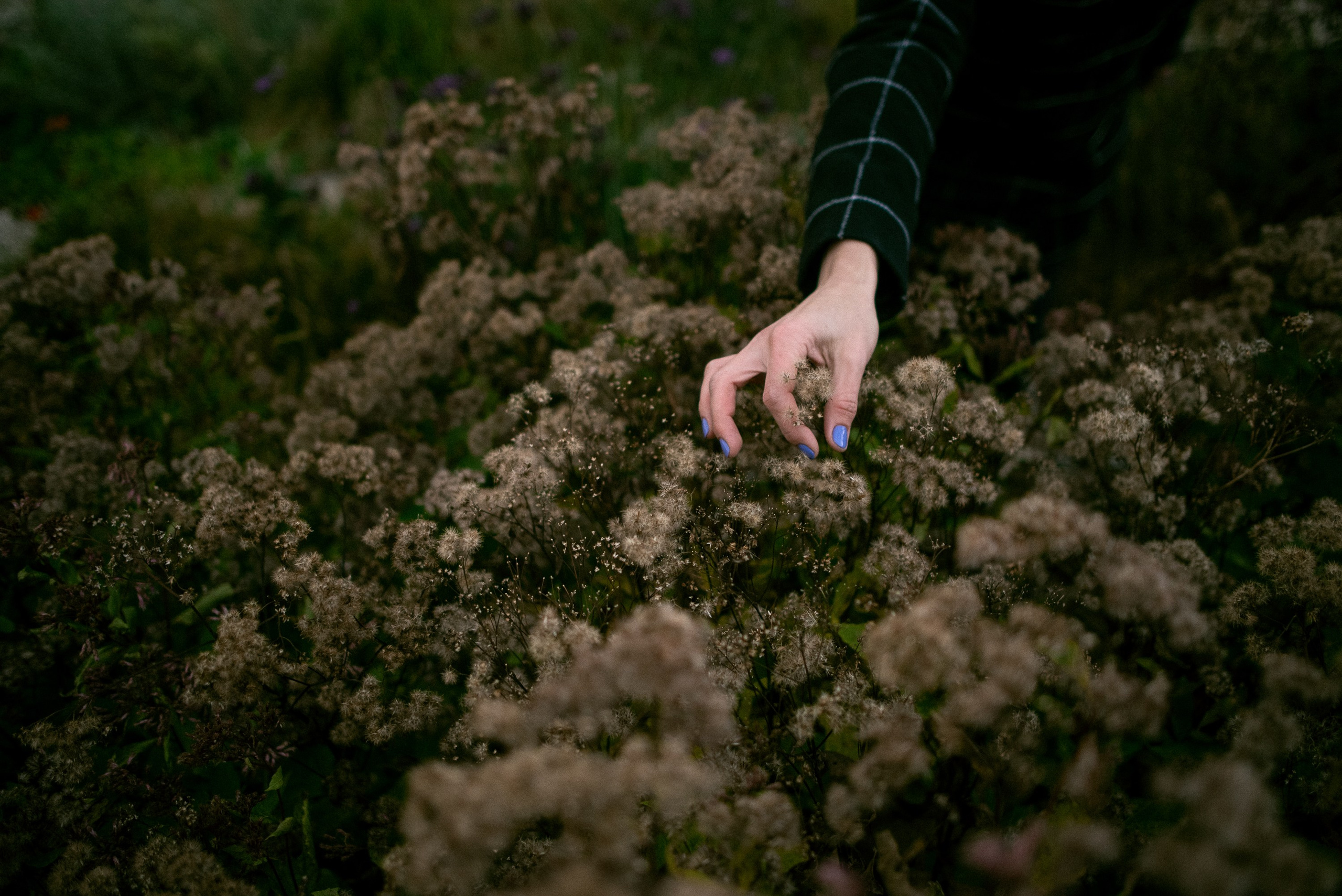 Walk in New Holland. Documentary family photography in Barcelona and beyond