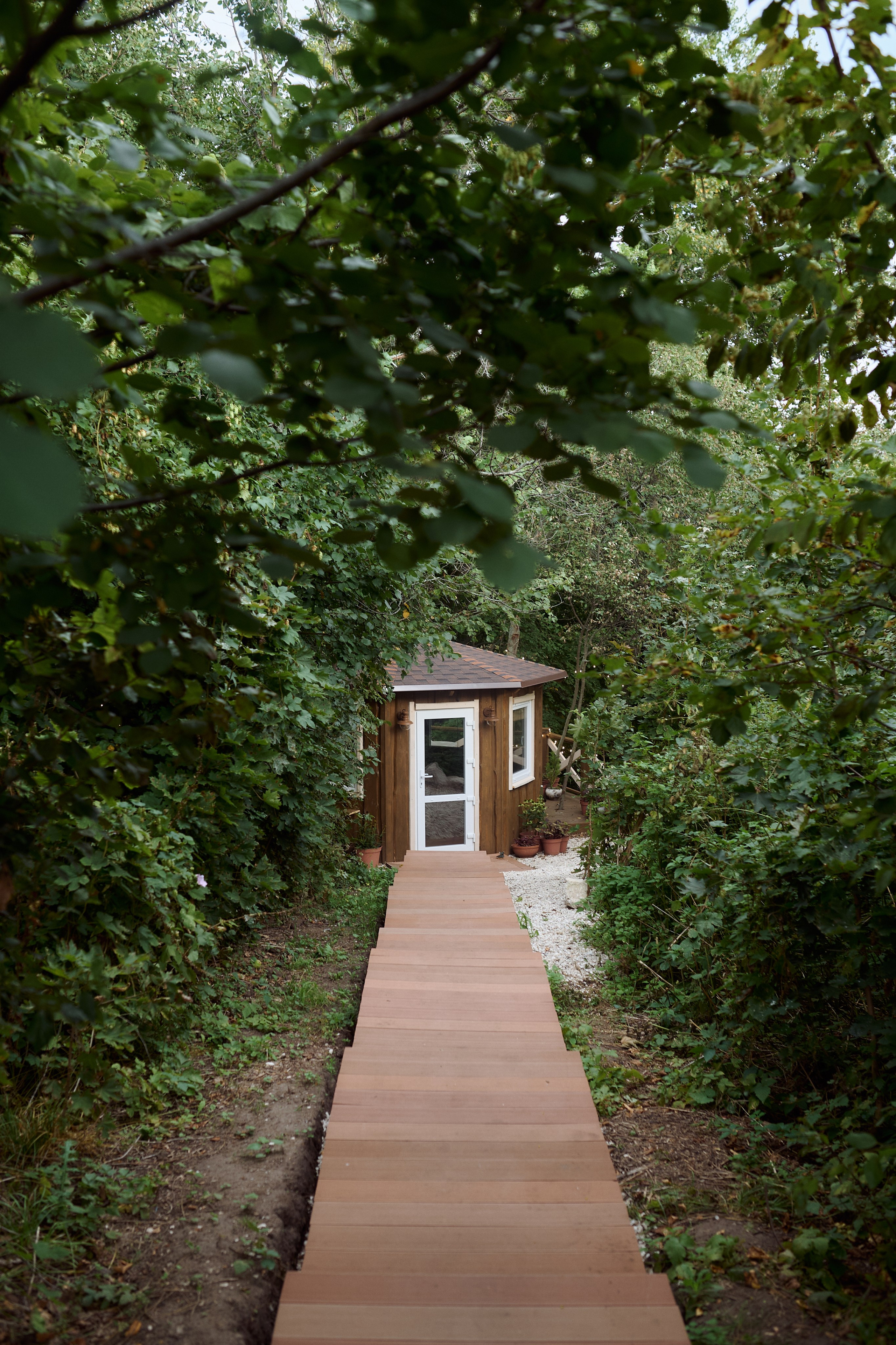 Алёна и Рада в Чайной. Семейный и свадебный lifestyle-фотограф в Москве Мария Петрова