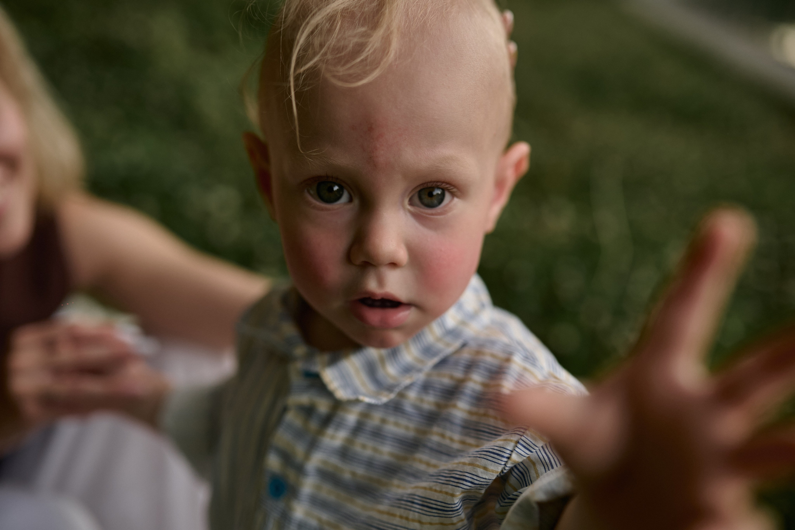 Сима и Яннис. Семейный и свадебный lifestyle-фотограф в Москве Мария Петрова