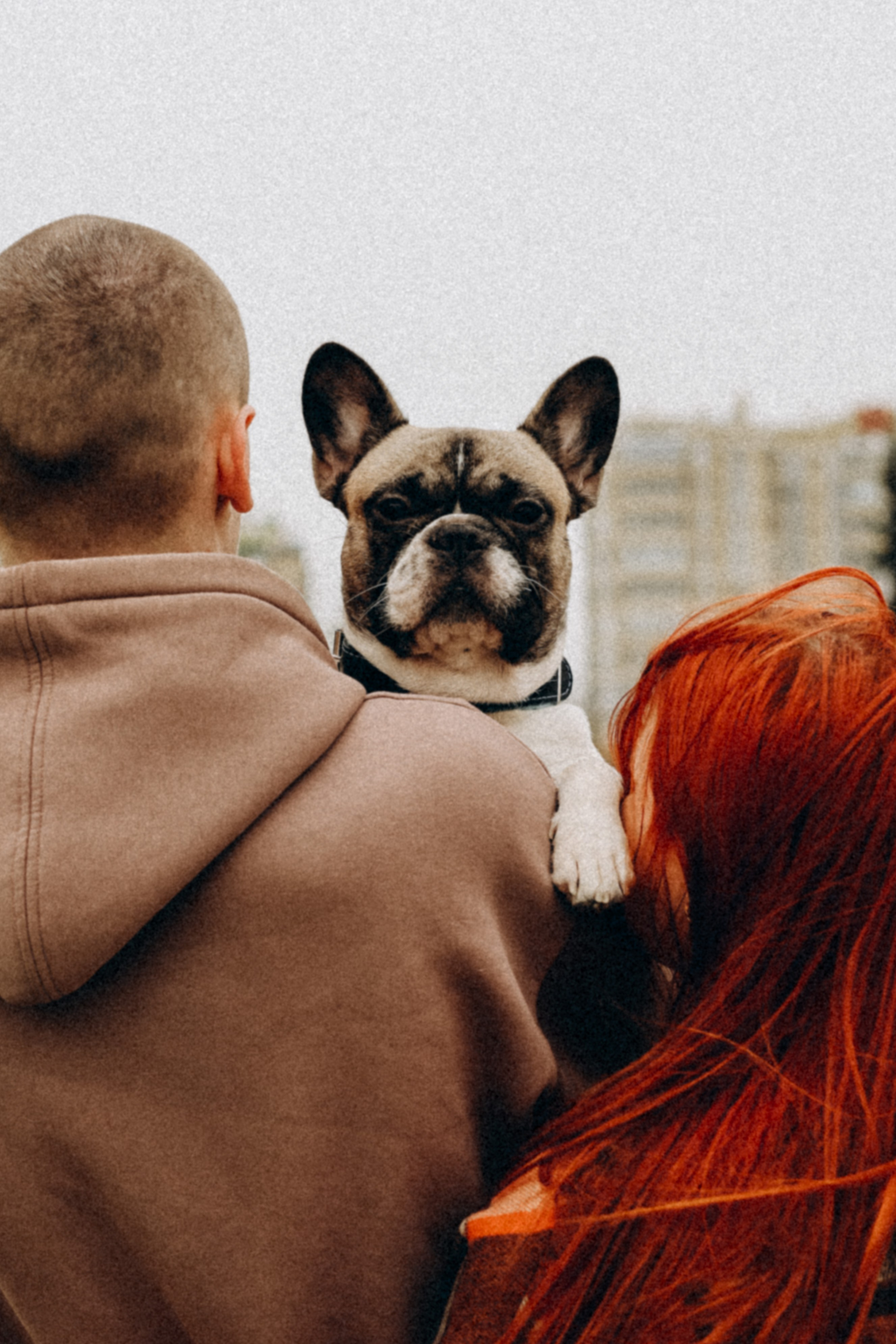 Семейная. Фотограф Оксана Пономарева