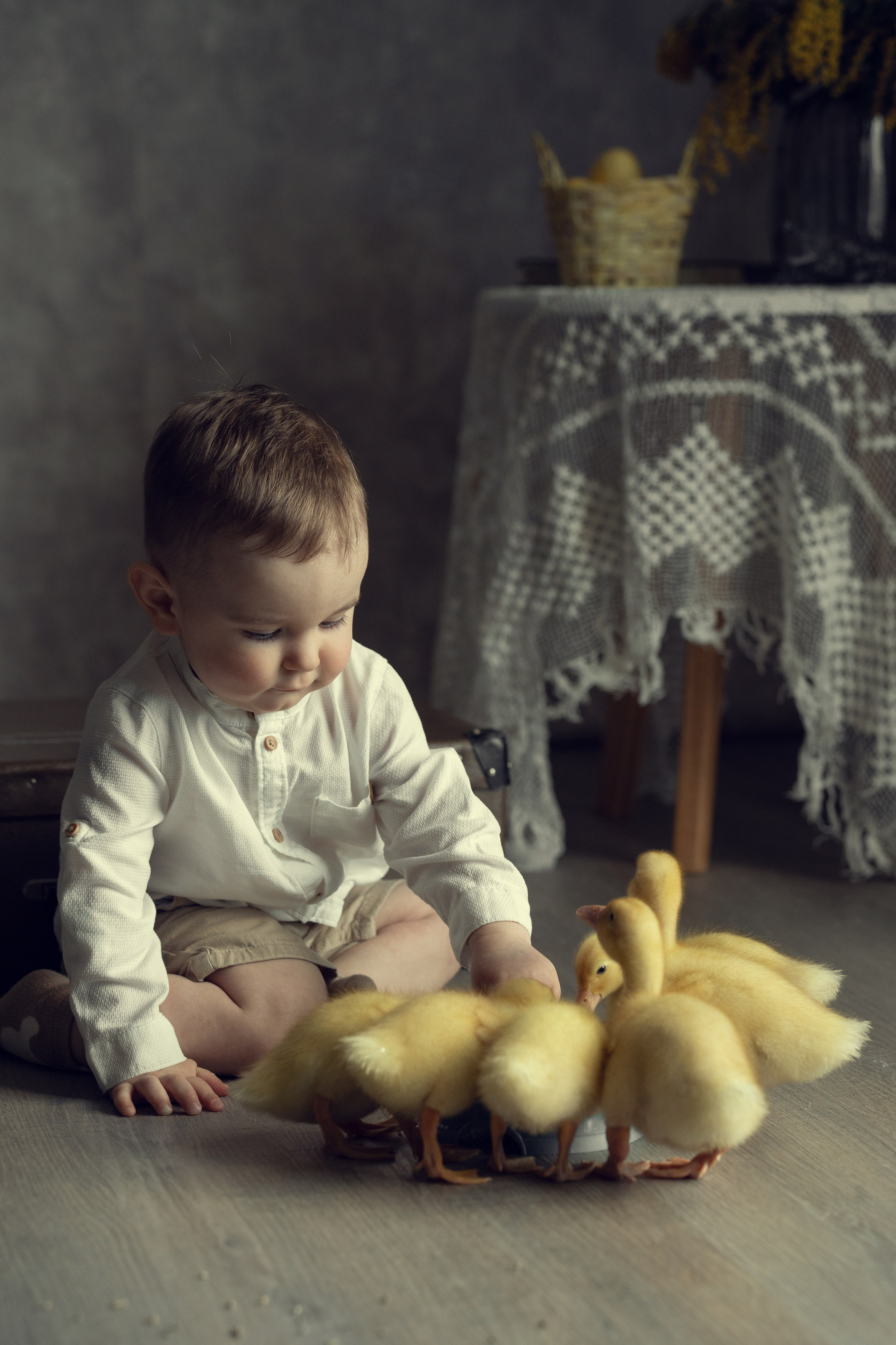 Малыш кормит утят из миски