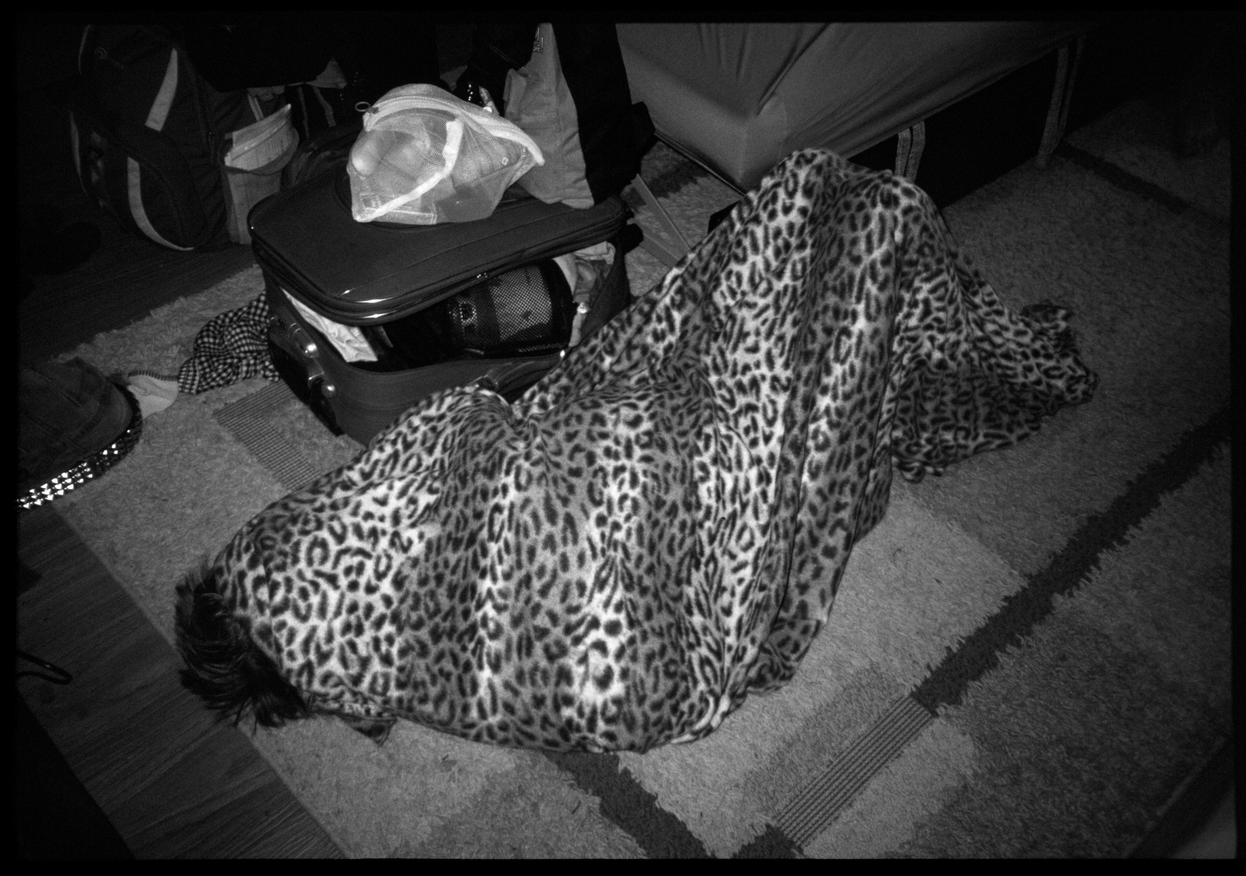 SILK ROAD. Dima Ptitsyn