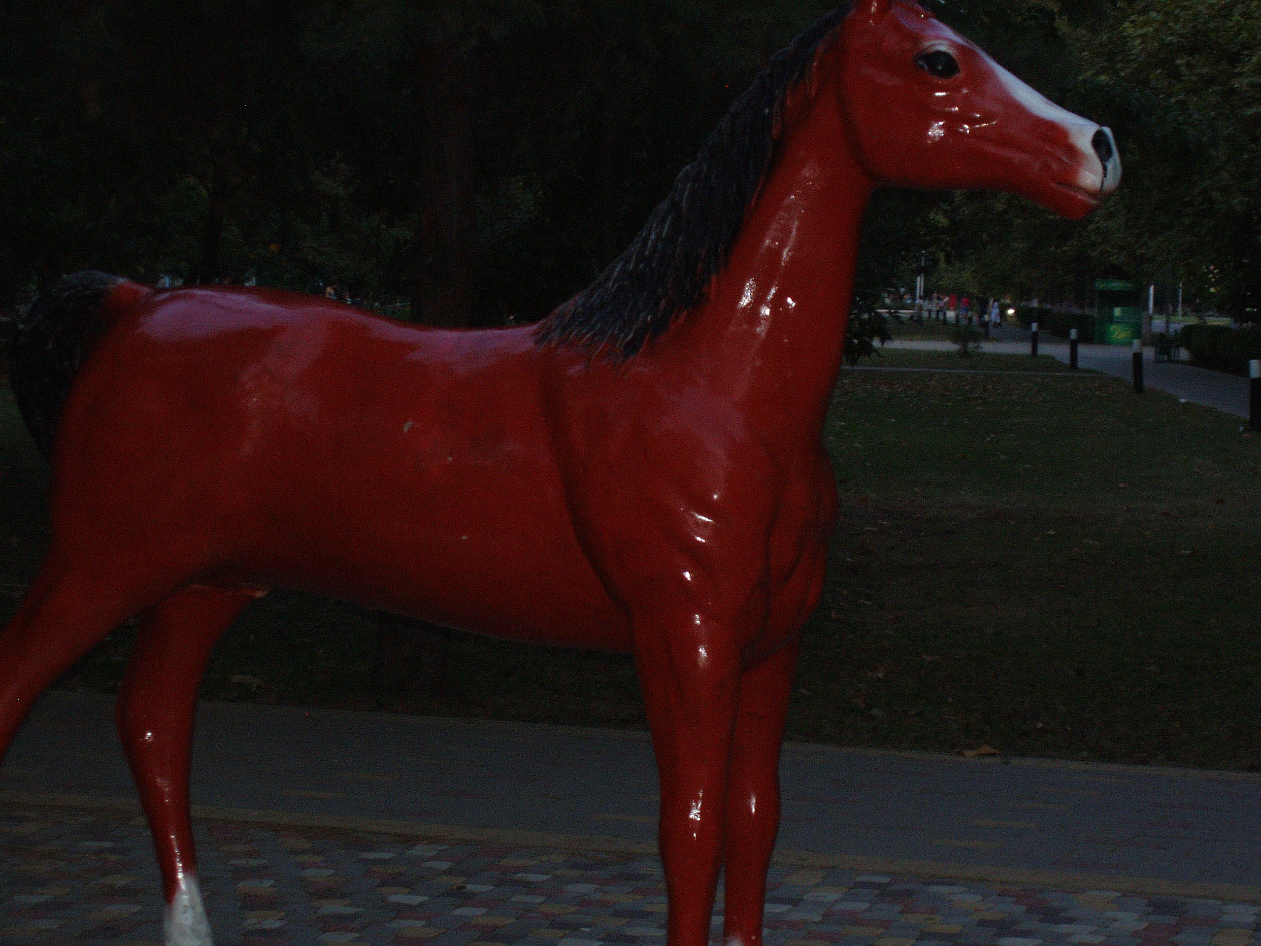 Отпуск 20.07-17.08. Семейный, Свадебный фотограф СПБ Питер— Романова Екатерина