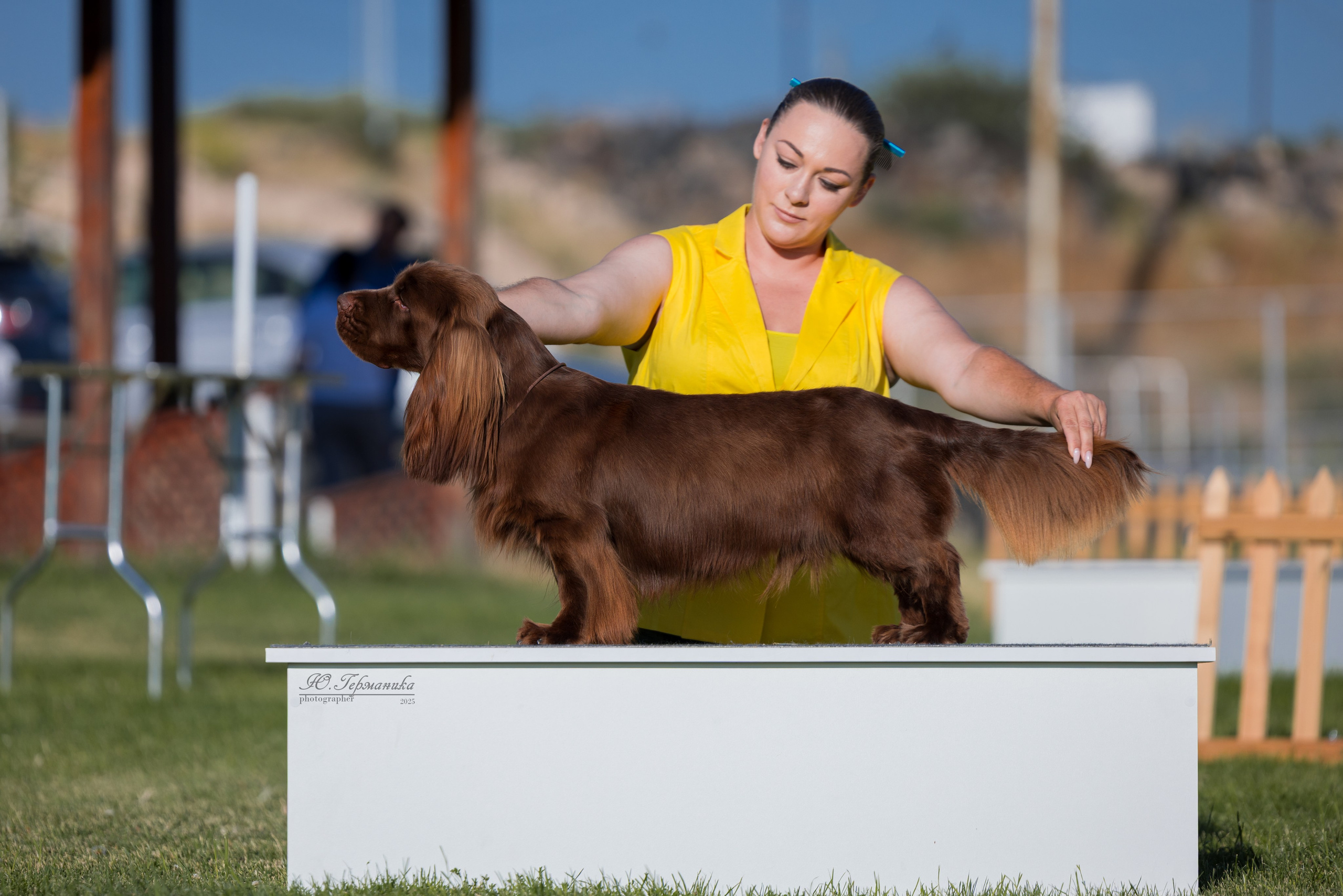 Ереван 3хCACIB 23-25.06.2025. Фотограф-анималист Юлия Германика