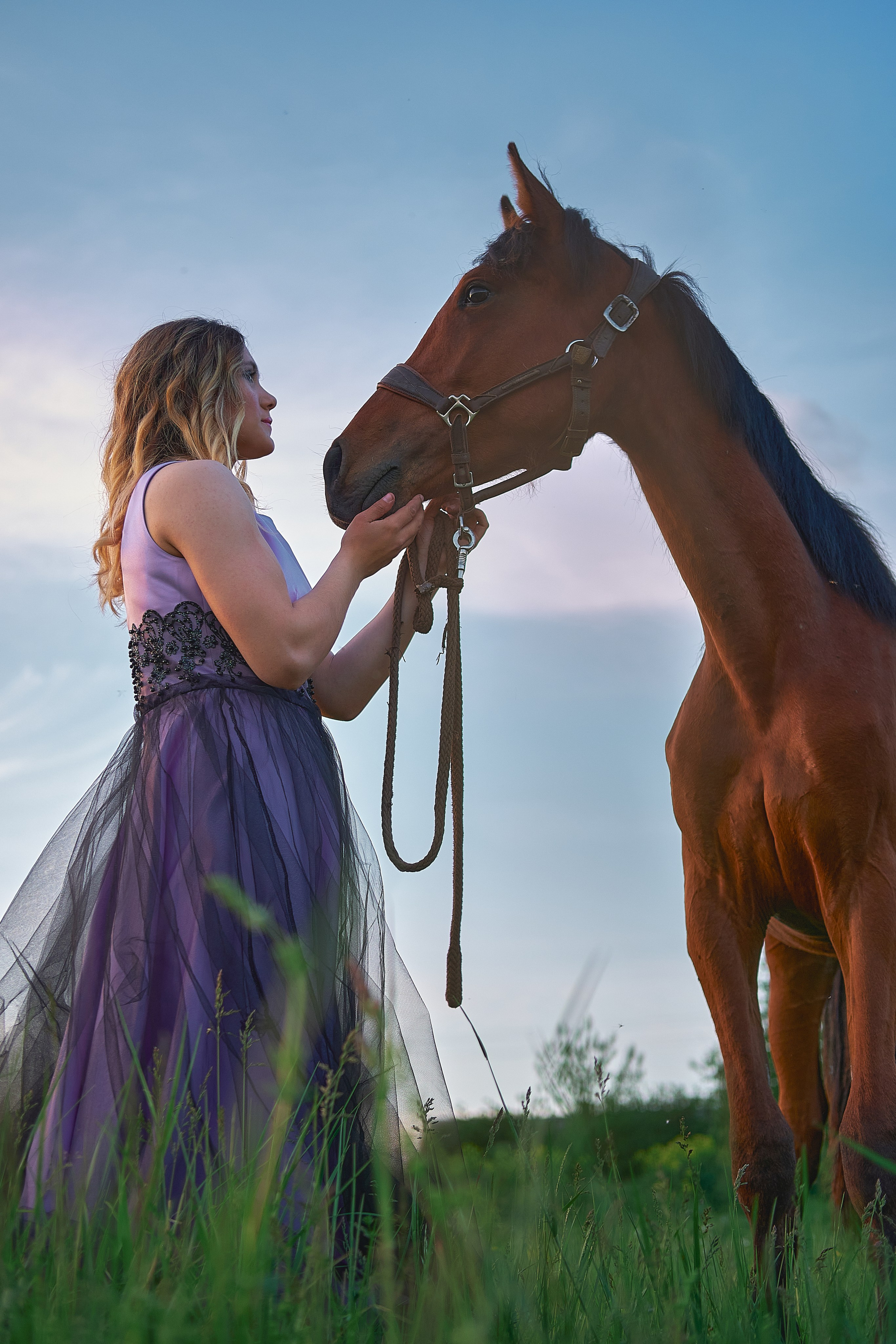 С лошадьми. Семейный и портретный фотограф в Новомосковске и Узловой Михеева Татьяна