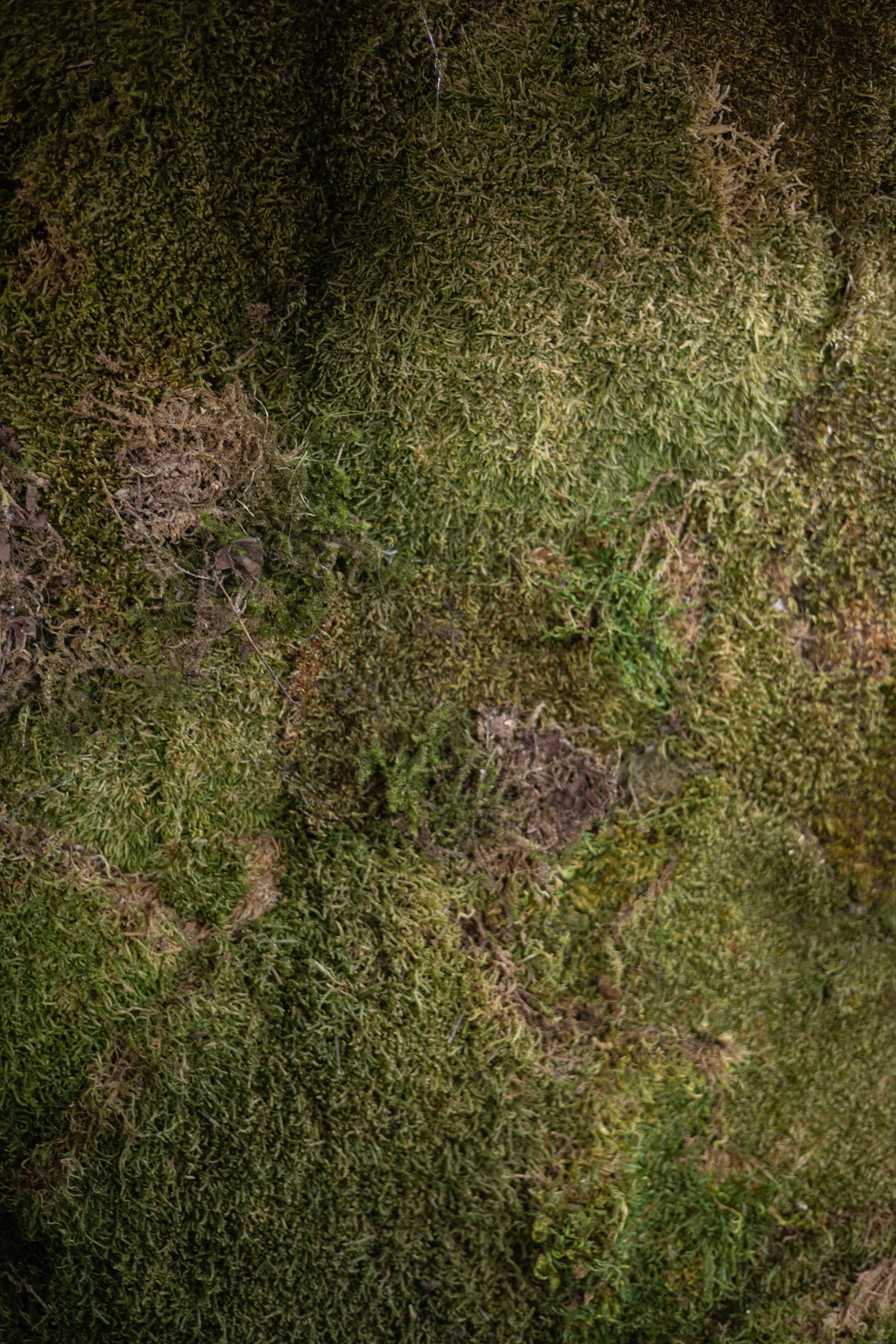 Лера & Алексей. Ресторан «TOUCH». Оформление свадеб, декор свадеб Вера Маркова, Москва