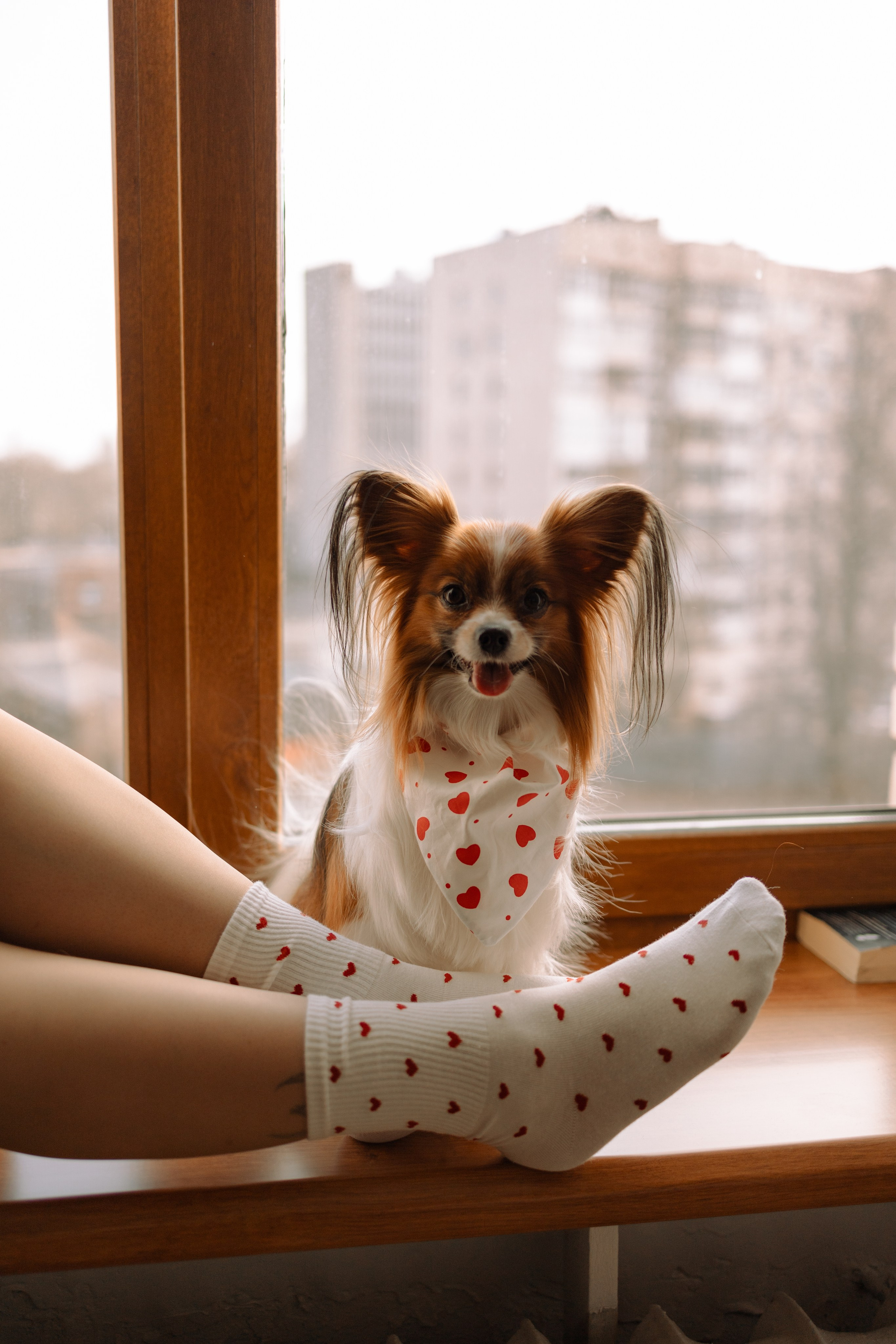 Женя и Брю. Фотограф — Анималист | Санкт-Петербург