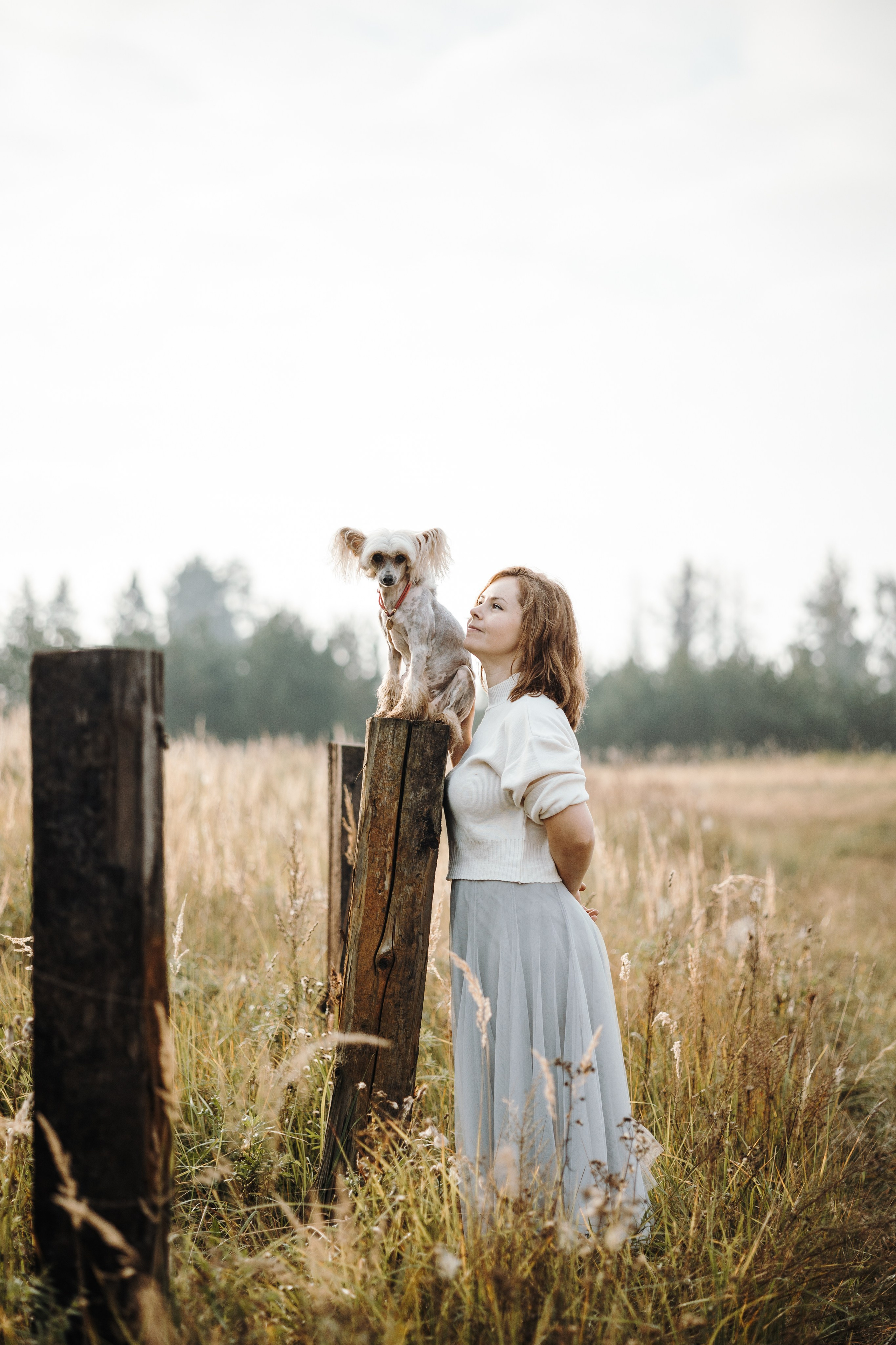 Любовь и ее хвостики. Фотограф — Анималист | Санкт-Петербург