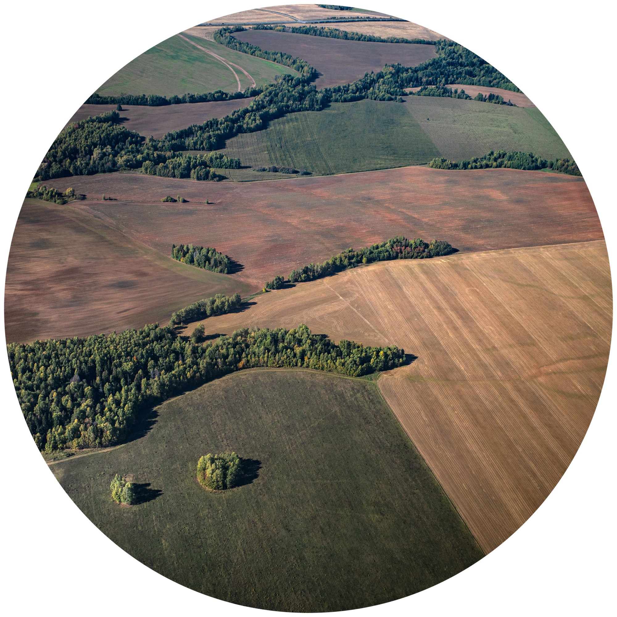 Ситец небес 2024. Яна Каменская